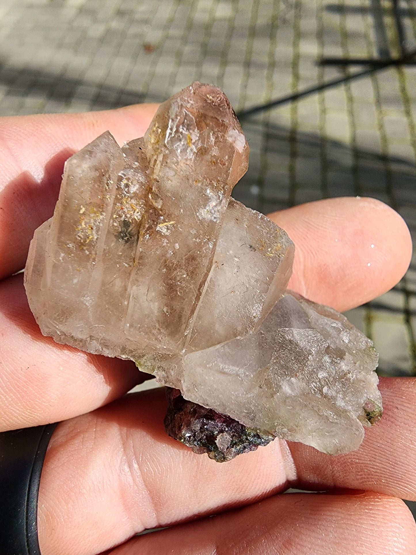 Watermelon Tourmaline in a Quartz Cluster from Minas Gerais, Brazil