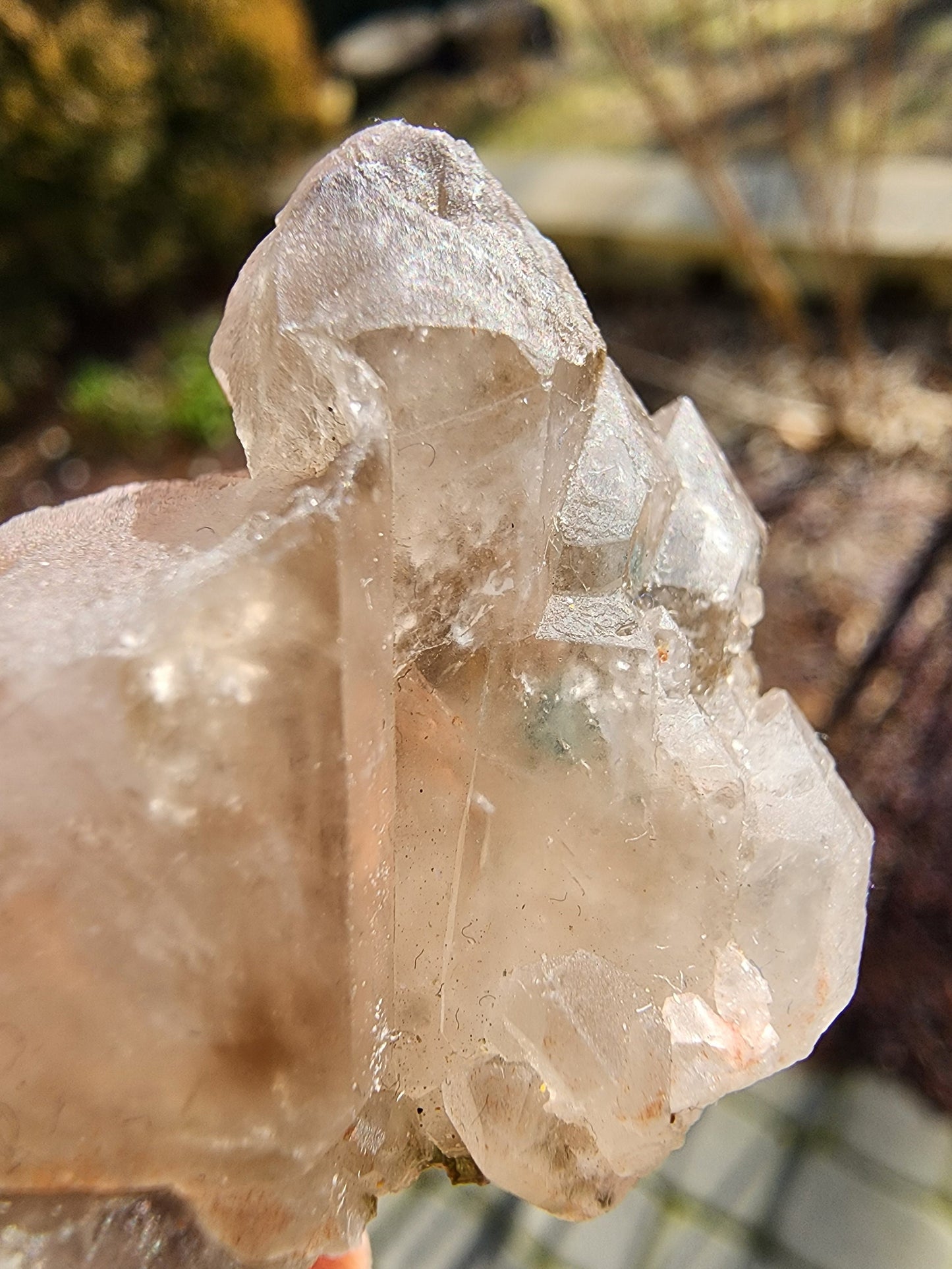 Watermelon Tourmaline in a Quartz Cluster from Minas Gerais, Brazil