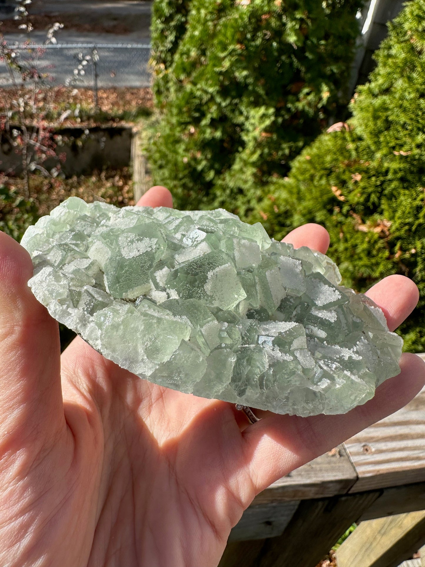Green Sugar Coated Fluorite from China