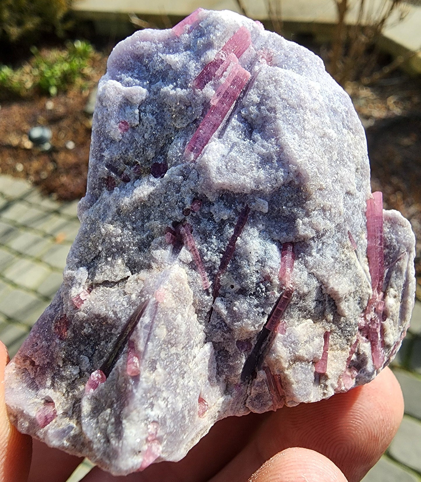 Pink Tourmaline in Lepidolite from California USA