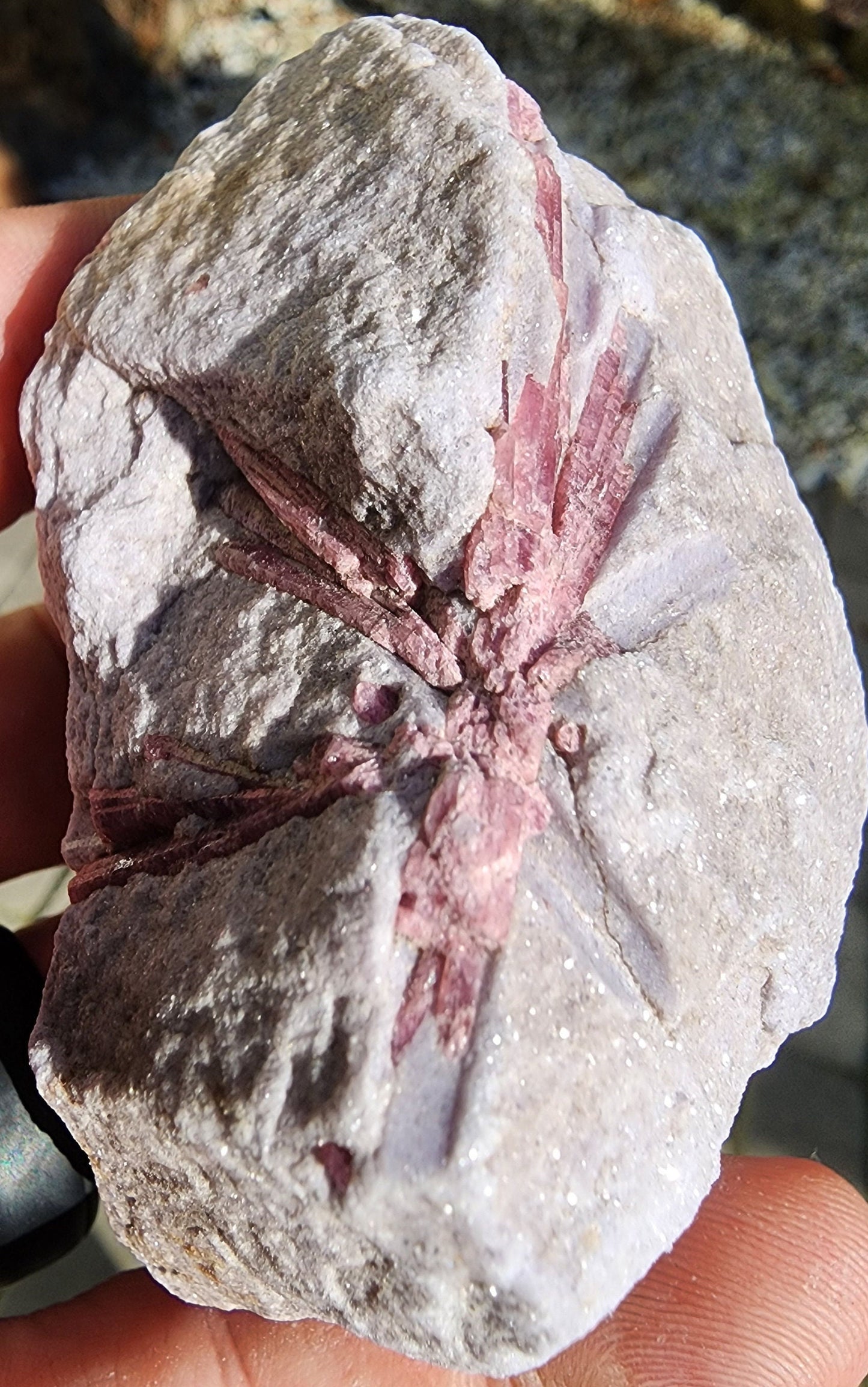 Pink Tourmaline in Lepidolite from California USA