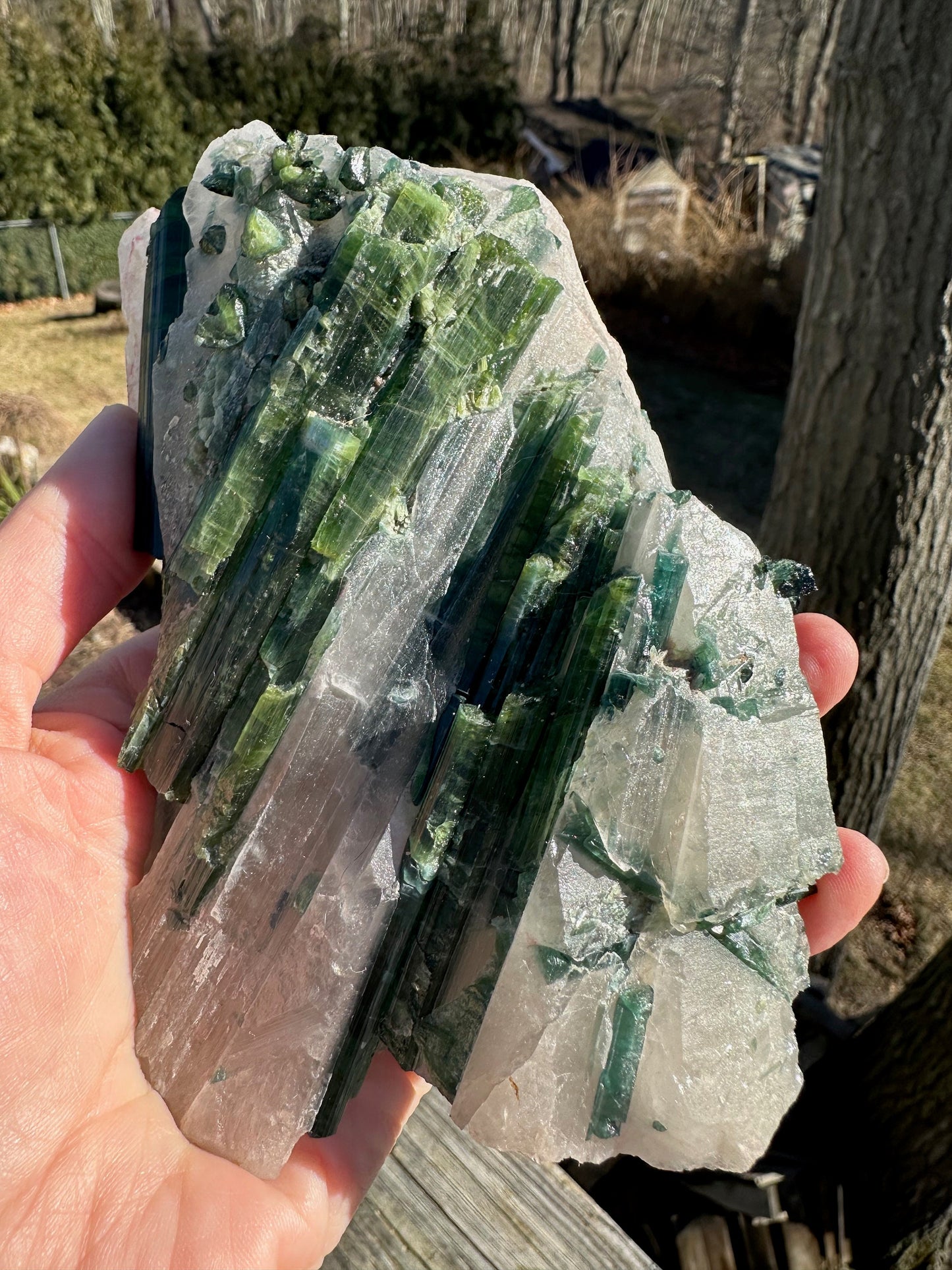 Large Cabinet Tourmaline in Quartz from Minas Gerais, Brazil