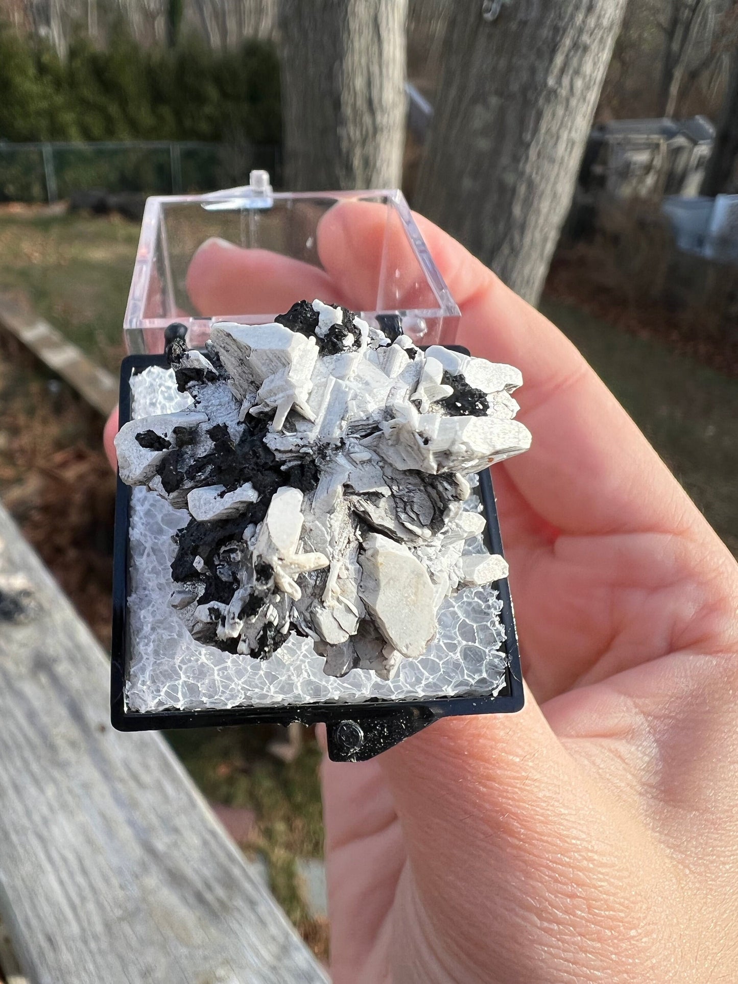 Reticulated Cerussite with Tennantite from Tsumeb Mine Namibia