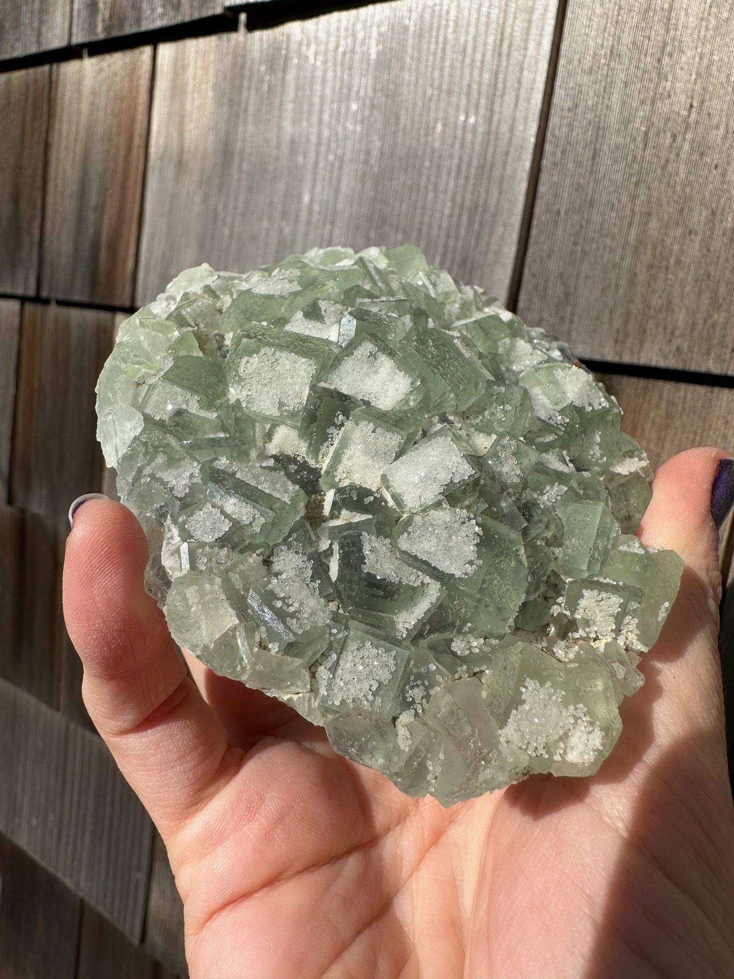 Green Sugar Coated Fluorite from China