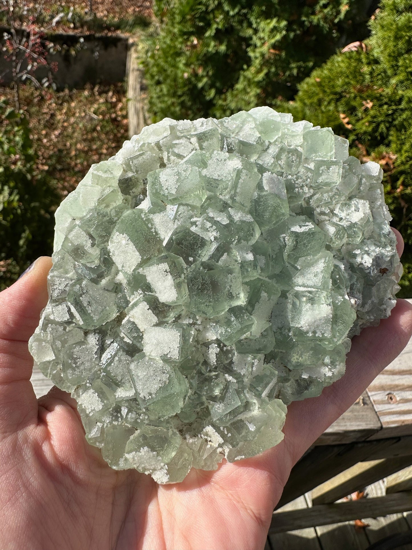 Green Sugar Coated Fluorite from China