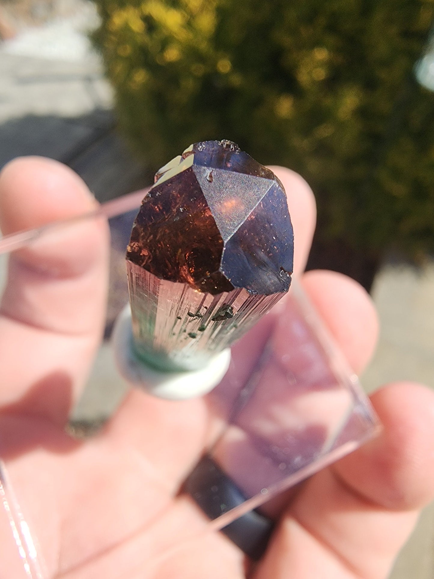 Lipstick Tourmaline from Cruzeiro Mine, Minas Gerais, Brazil