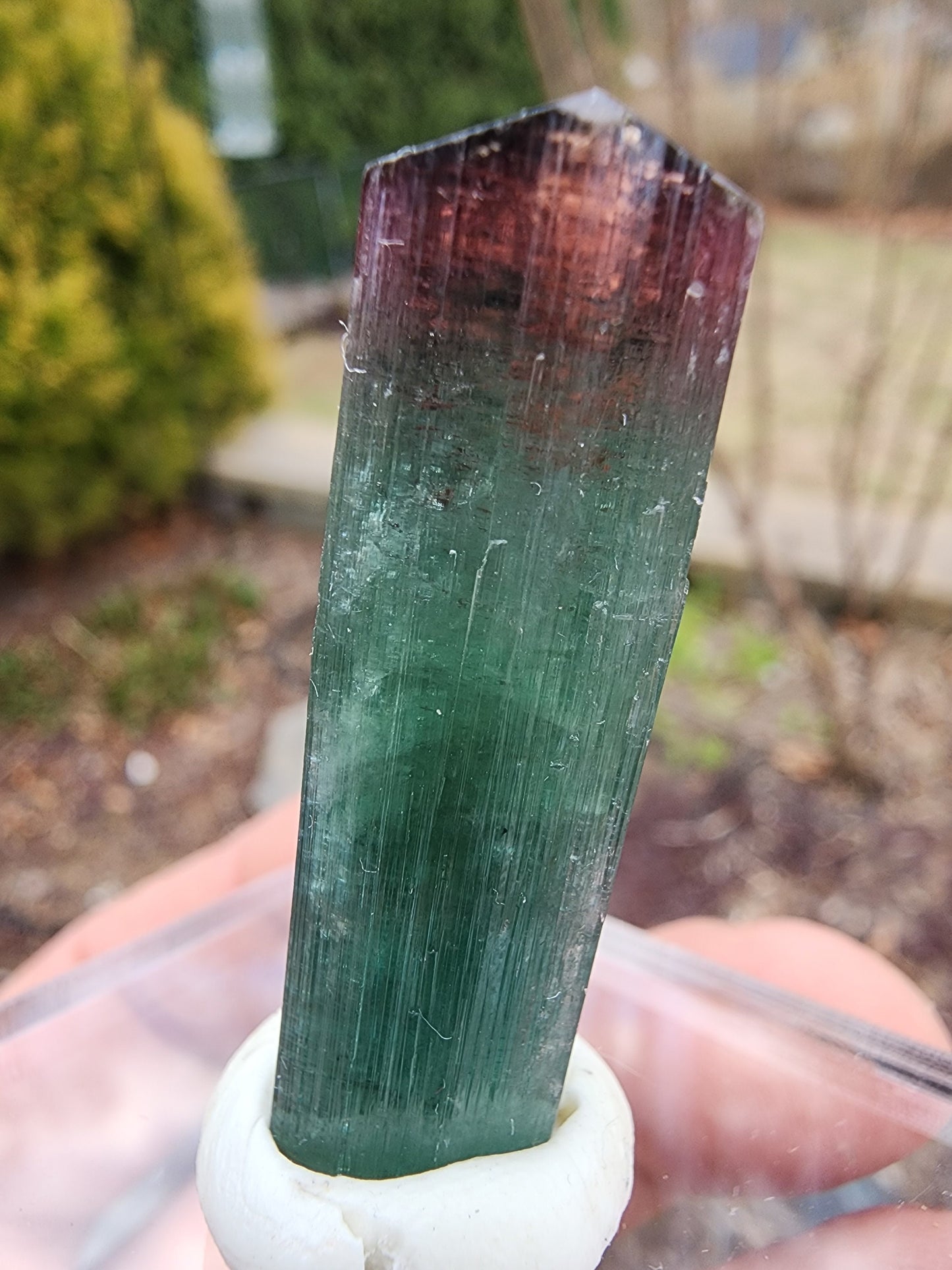 Lipstick Tourmaline from Cruzeiro Mine, Minas Gerais, Brazil