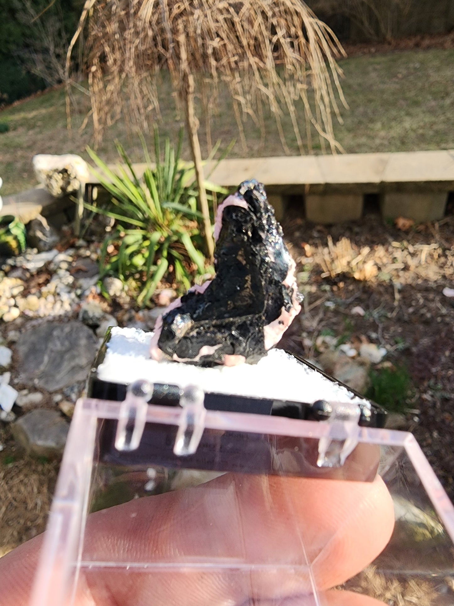 Botryoidal Rhodochrosite from Potosi Mine, Mexico