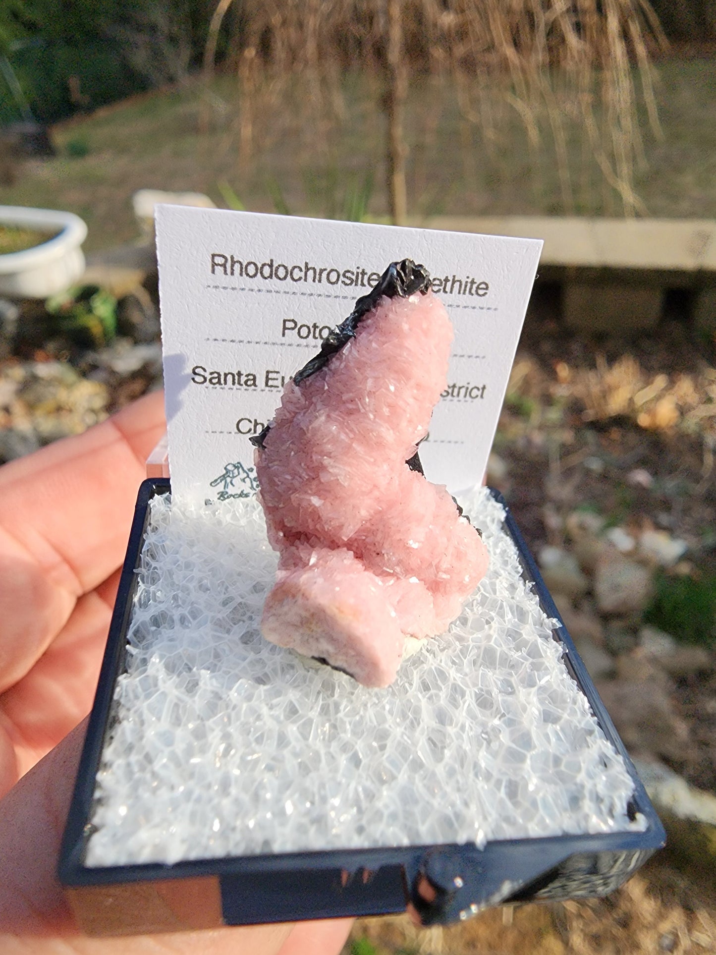 Botryoidal Rhodochrosite from Potosi Mine, Mexico