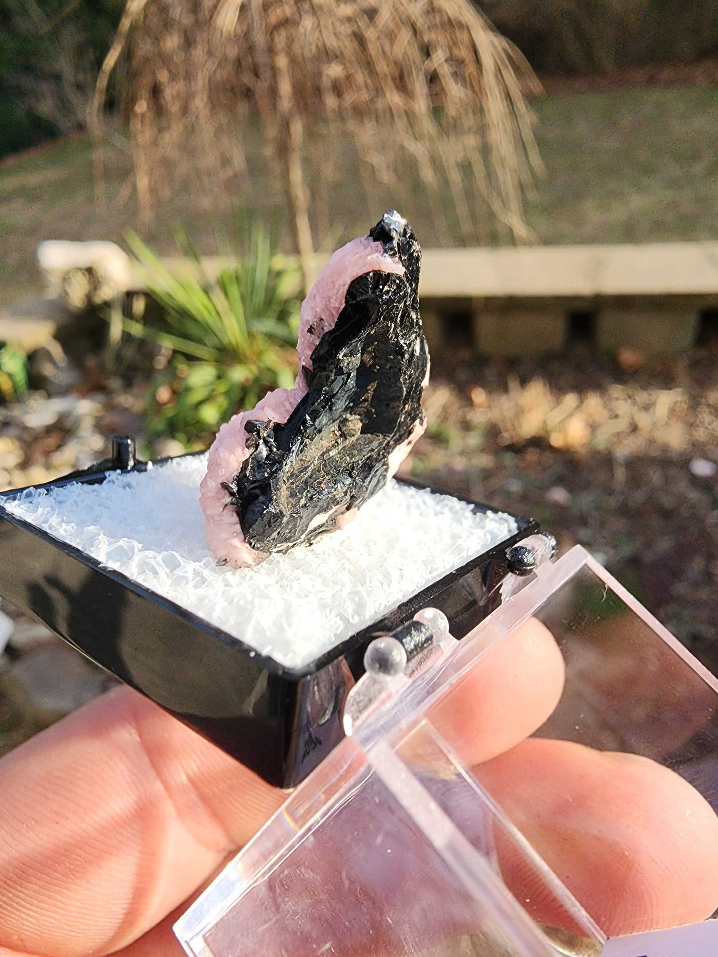Botryoidal Rhodochrosite from Potosi Mine, Mexico