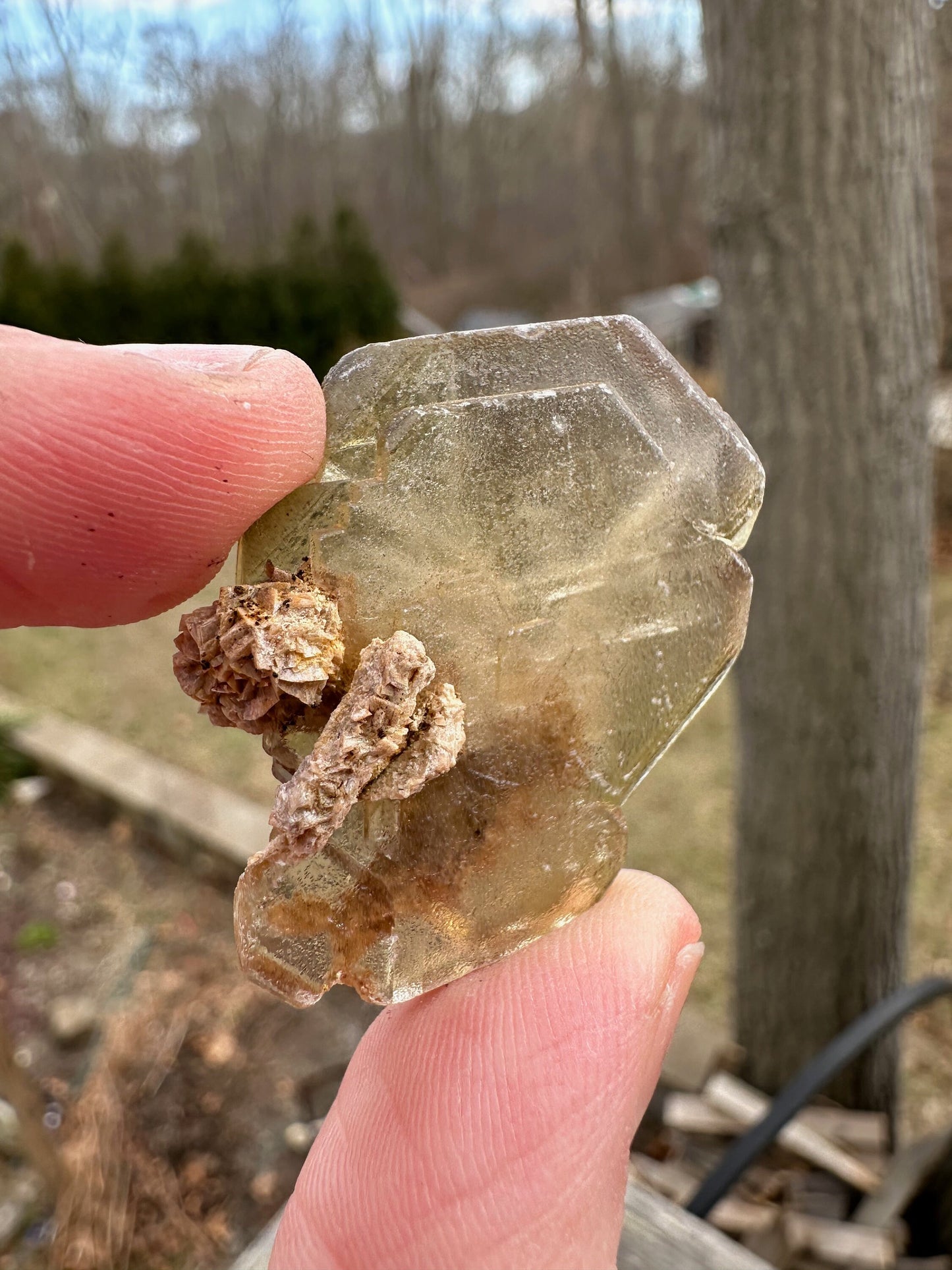 Etched Golden Barite Crystal from Cerro Warihuayin Peru