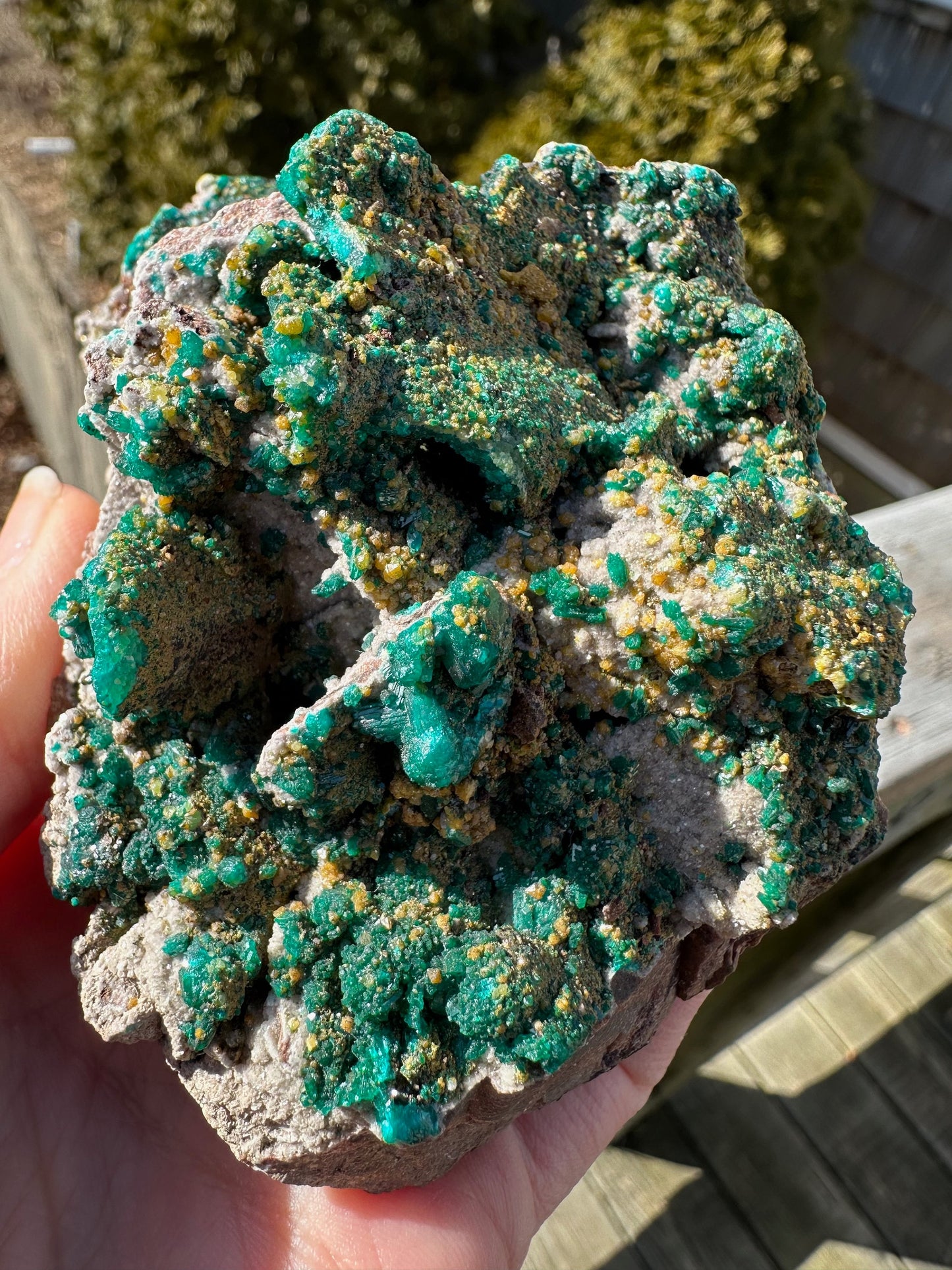 Cabinet Dioptase with Mimetite from Congo