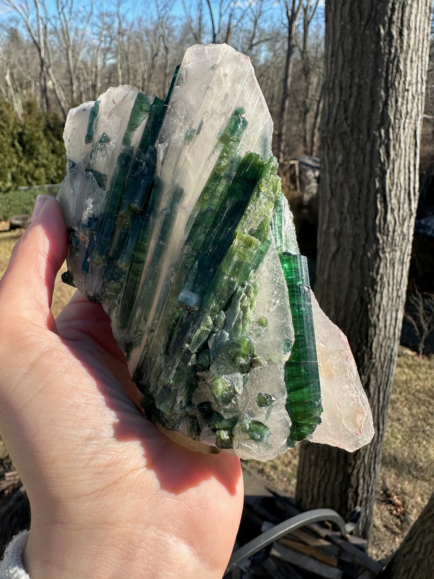 Large Cabinet Tourmaline in Quartz from Minas Gerais, Brazil