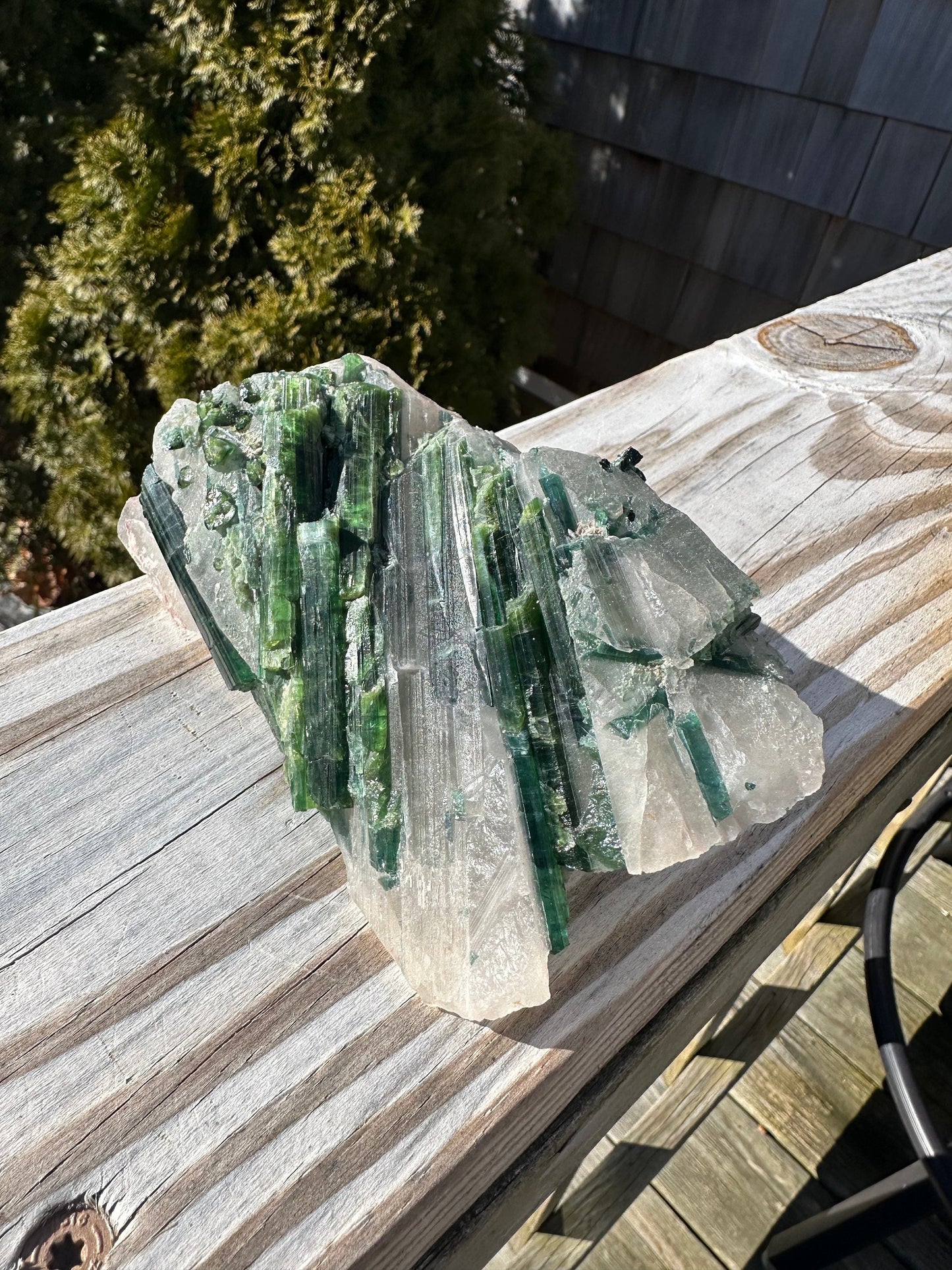 Large Cabinet Tourmaline in Quartz from Minas Gerais, Brazil