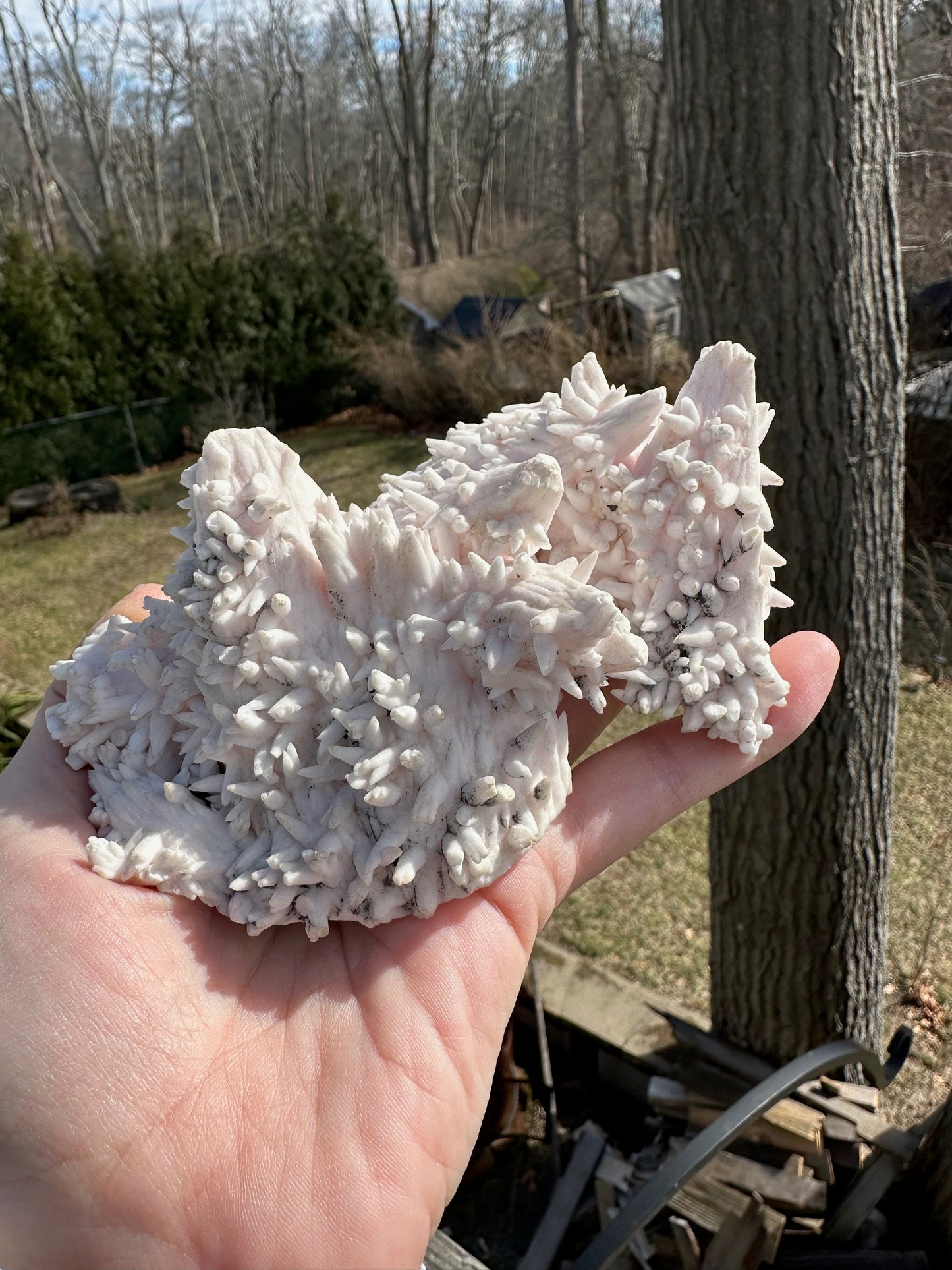 Cabinet Mangano Calcite with Fine Quartz and Chalcopyrite From Peru