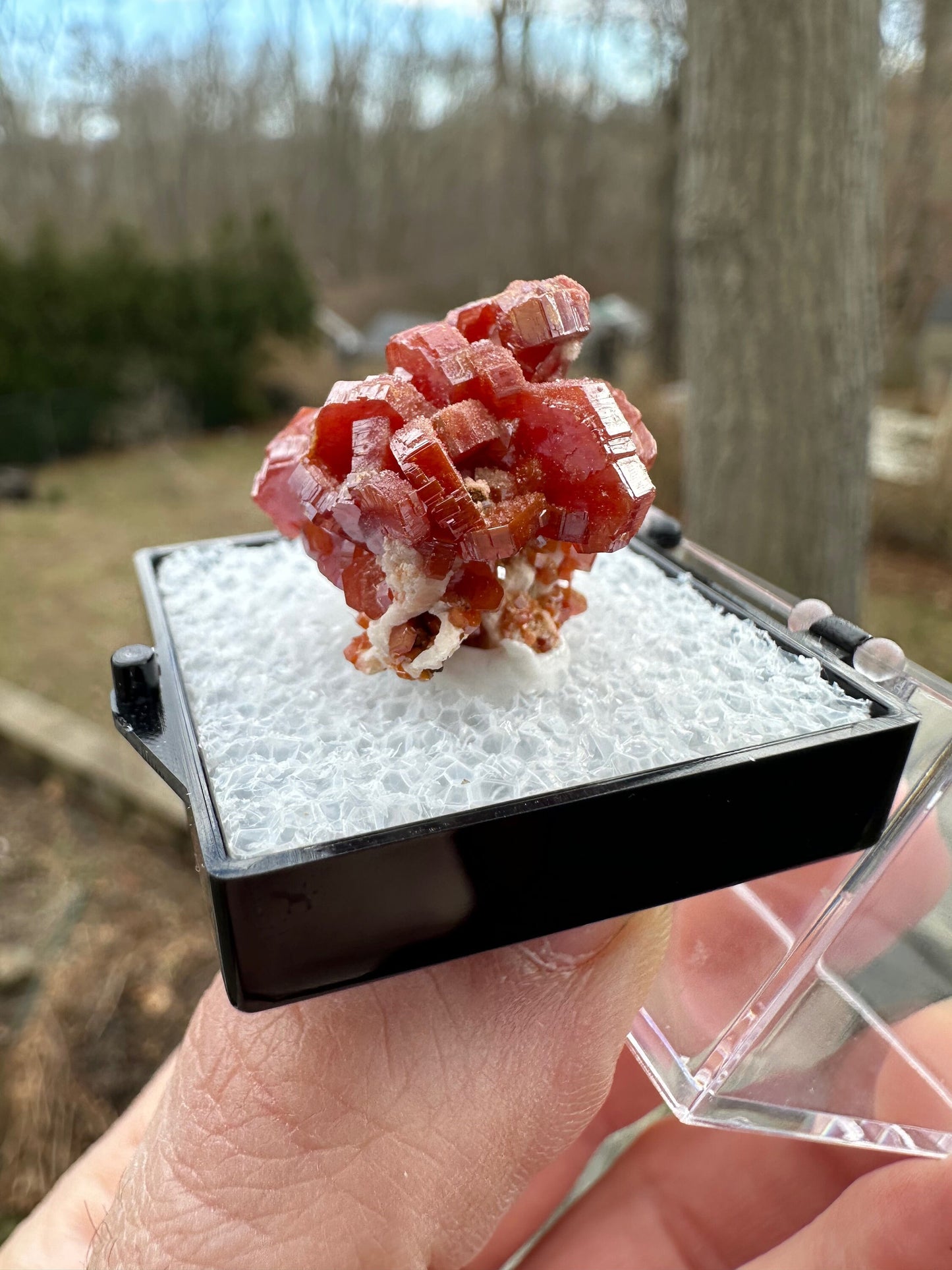 Vanadinite Crystal Cluster from Morocco