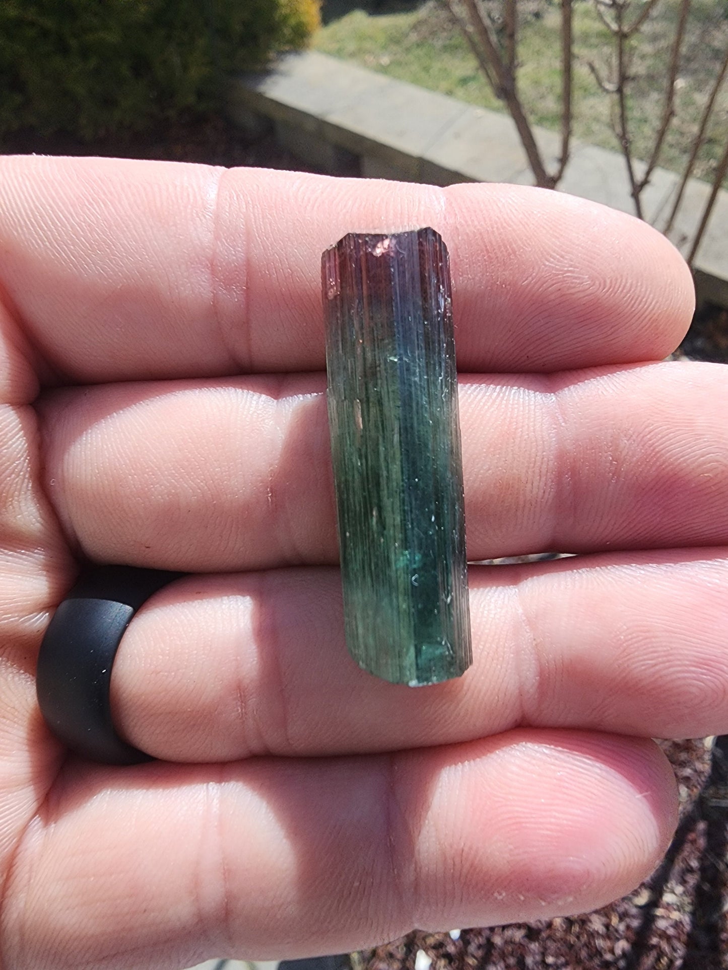 Lipstick Tourmaline from Cruzeiro Mine, Minas Gerais, Brazil