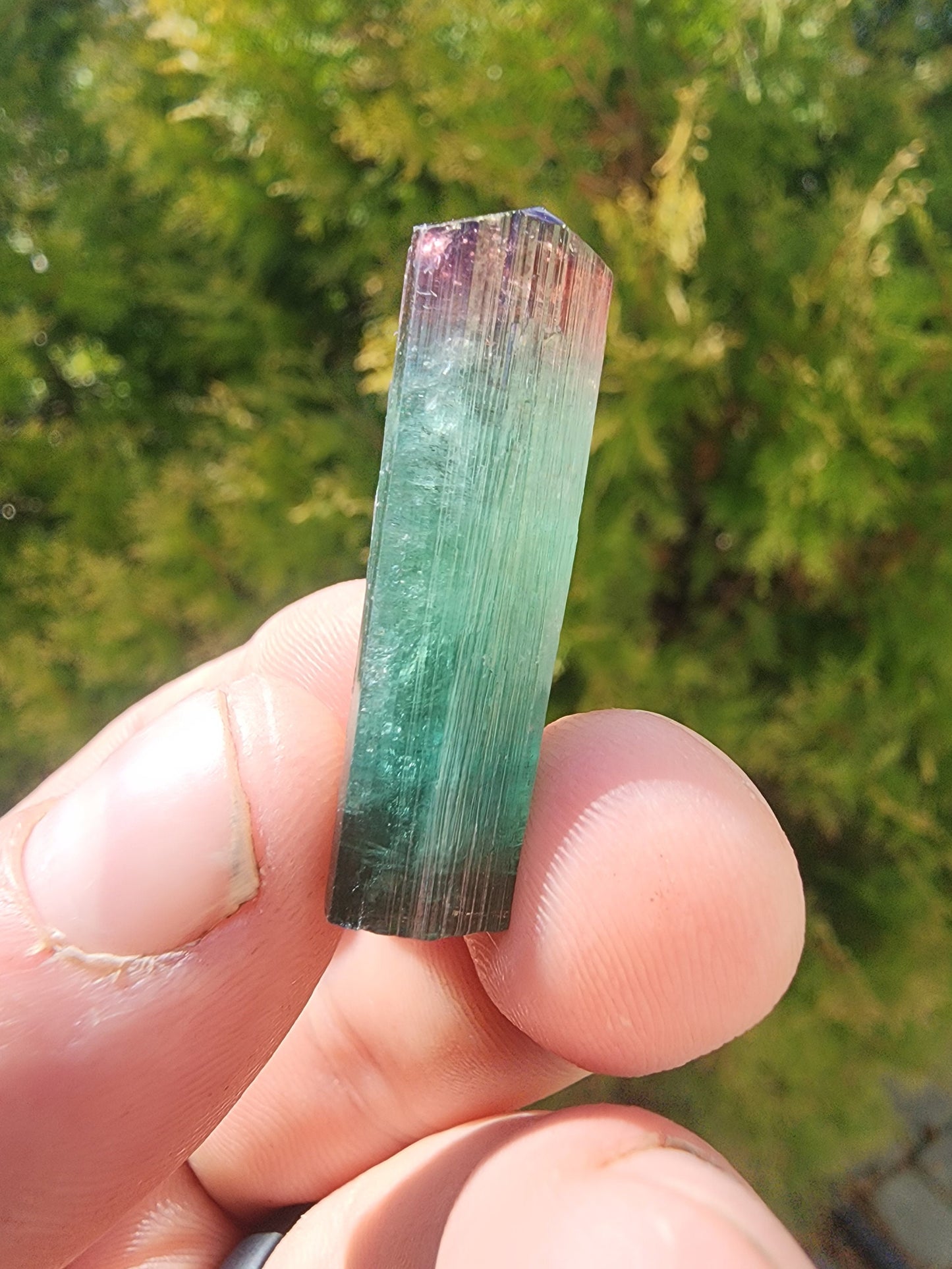 Lipstick Tourmaline from Cruzeiro Mine, Minas Gerais, Brazil