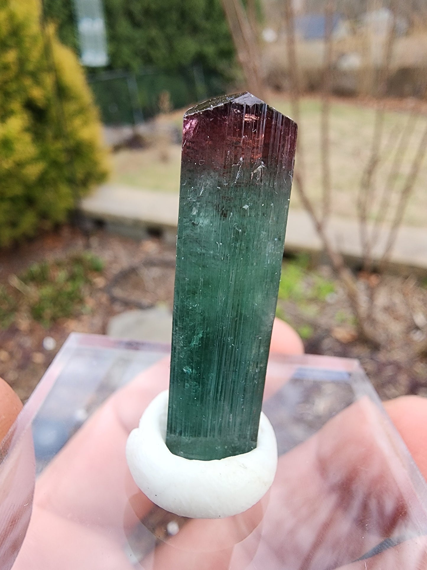 Lipstick Tourmaline from Cruzeiro Mine, Minas Gerais, Brazil
