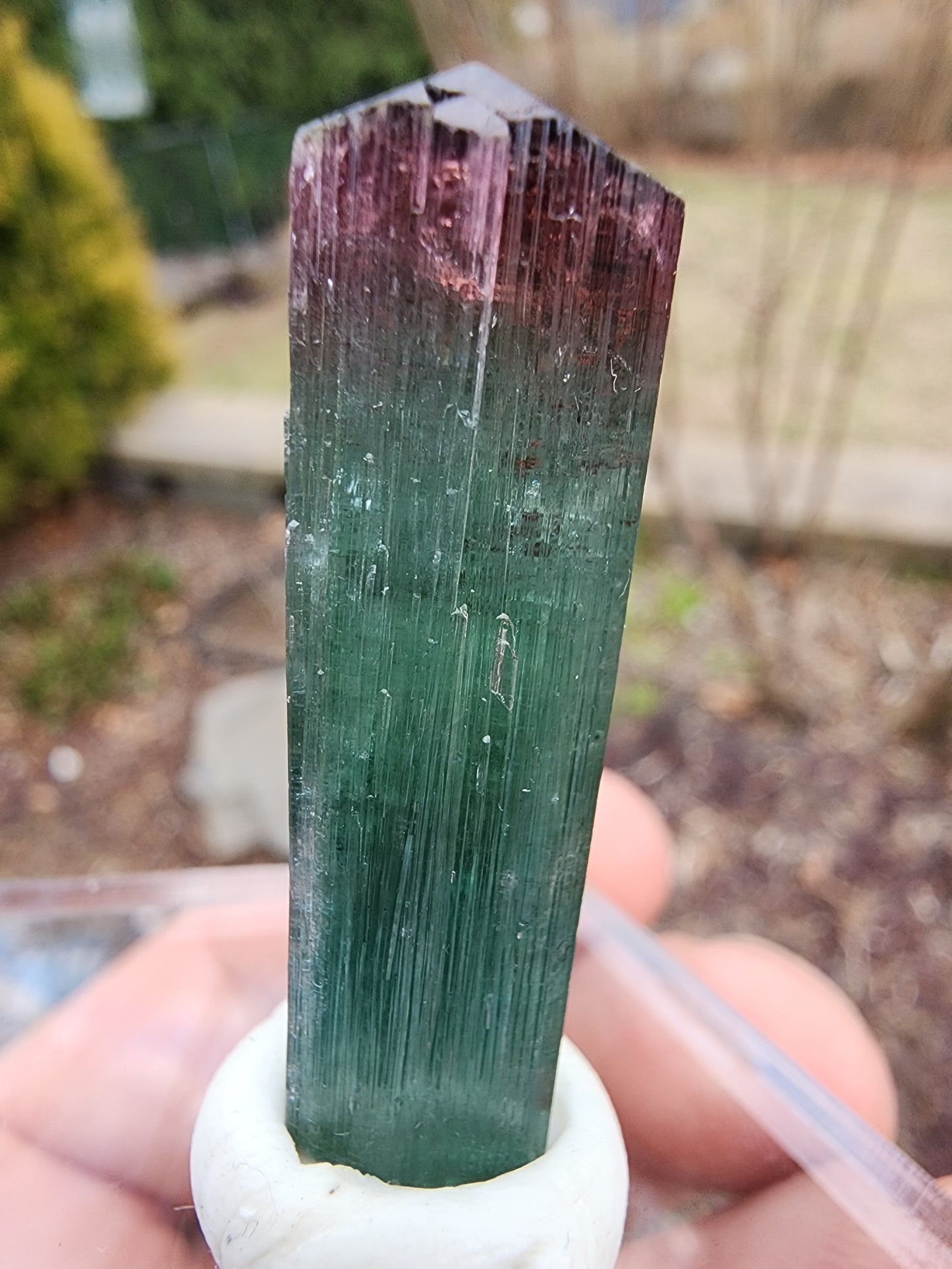 Lipstick Tourmaline from Cruzeiro Mine, Minas Gerais, Brazil