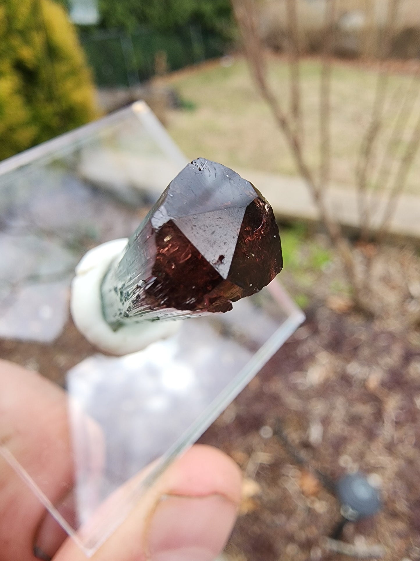 Lipstick Tourmaline from Cruzeiro Mine, Minas Gerais, Brazil