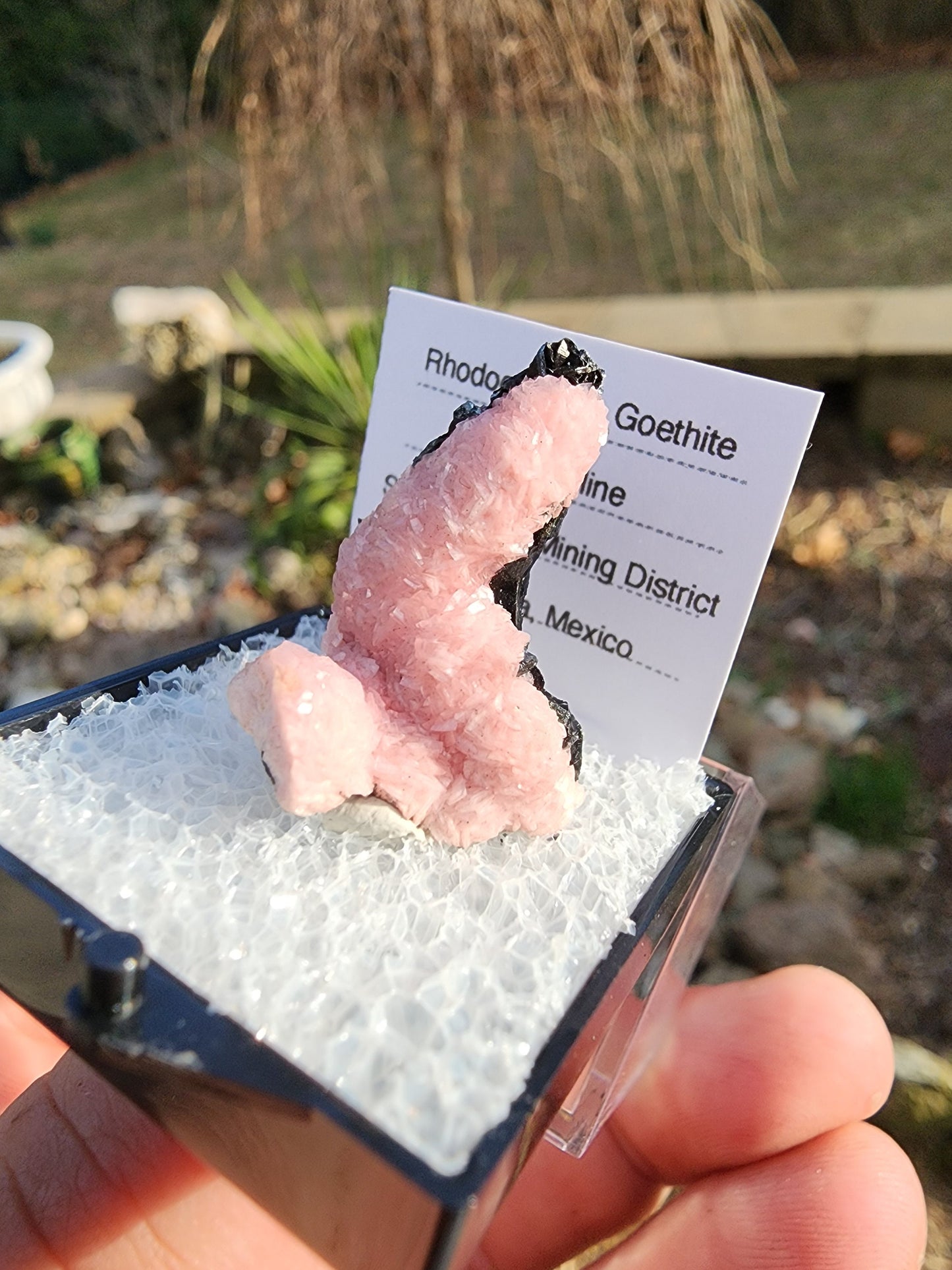 Botryoidal Rhodochrosite from Potosi Mine, Mexico