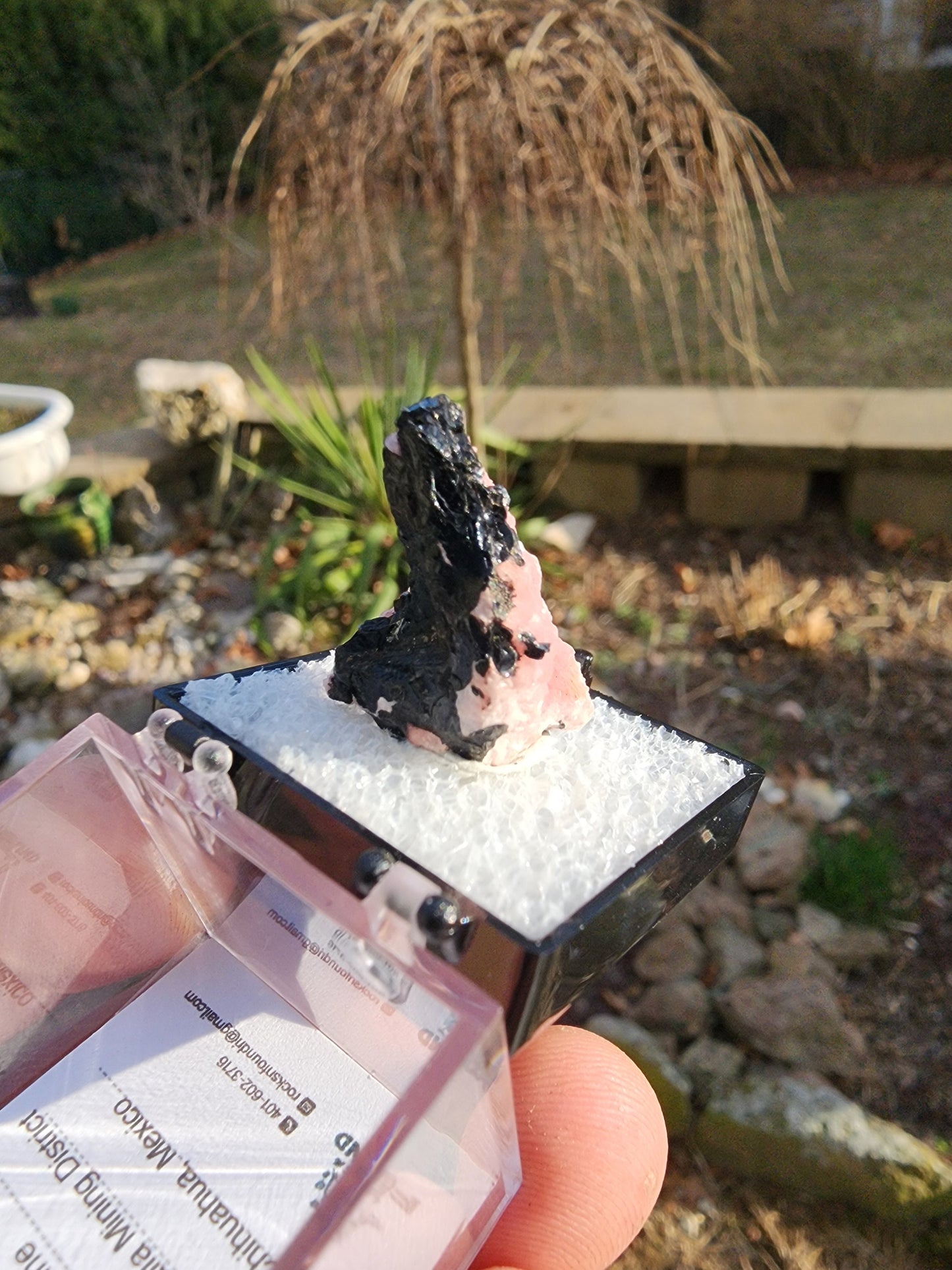 Botryoidal Rhodochrosite from Potosi Mine, Mexico