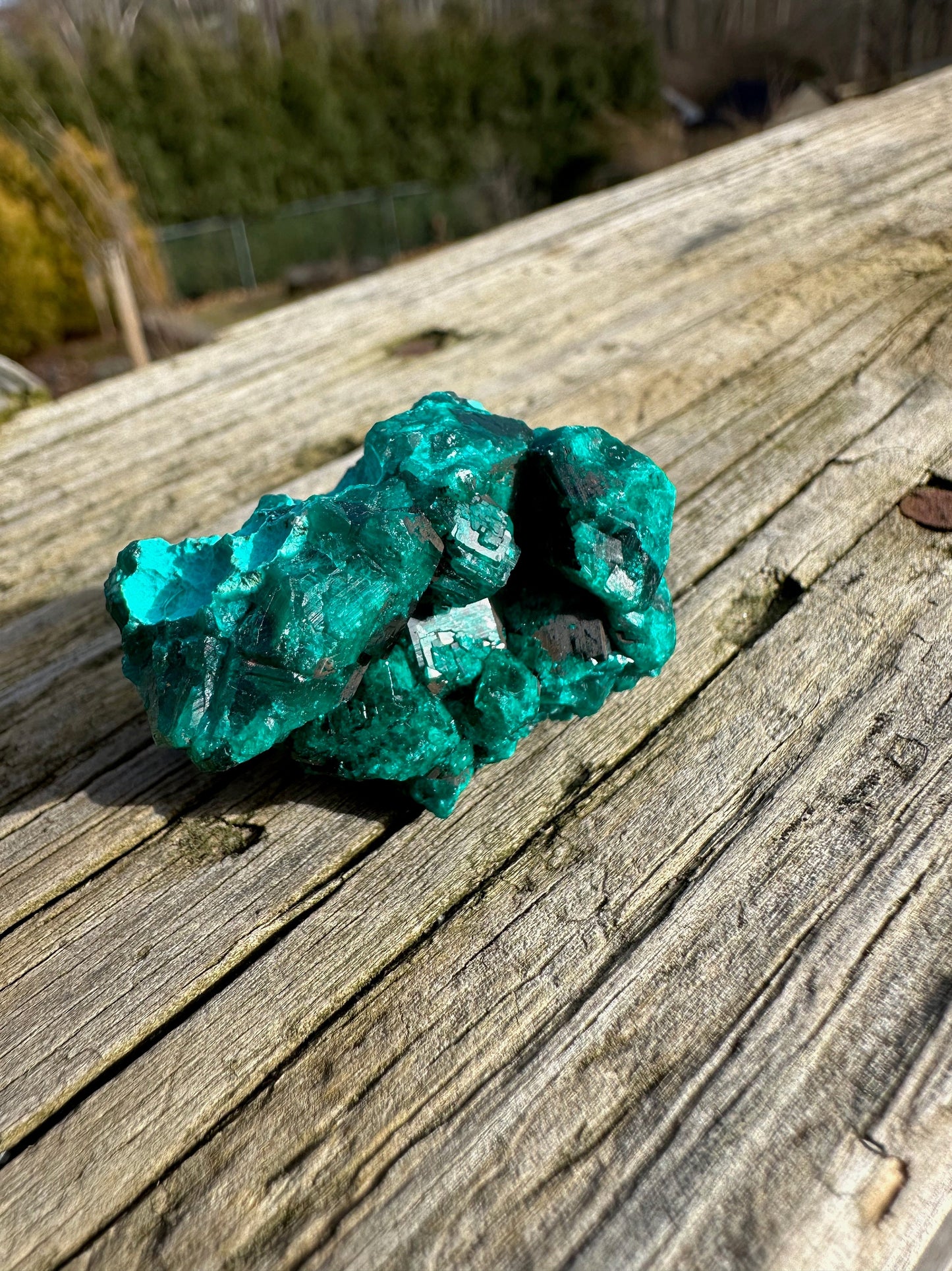 Dioptase Crystals with Chrysocolla From Congo