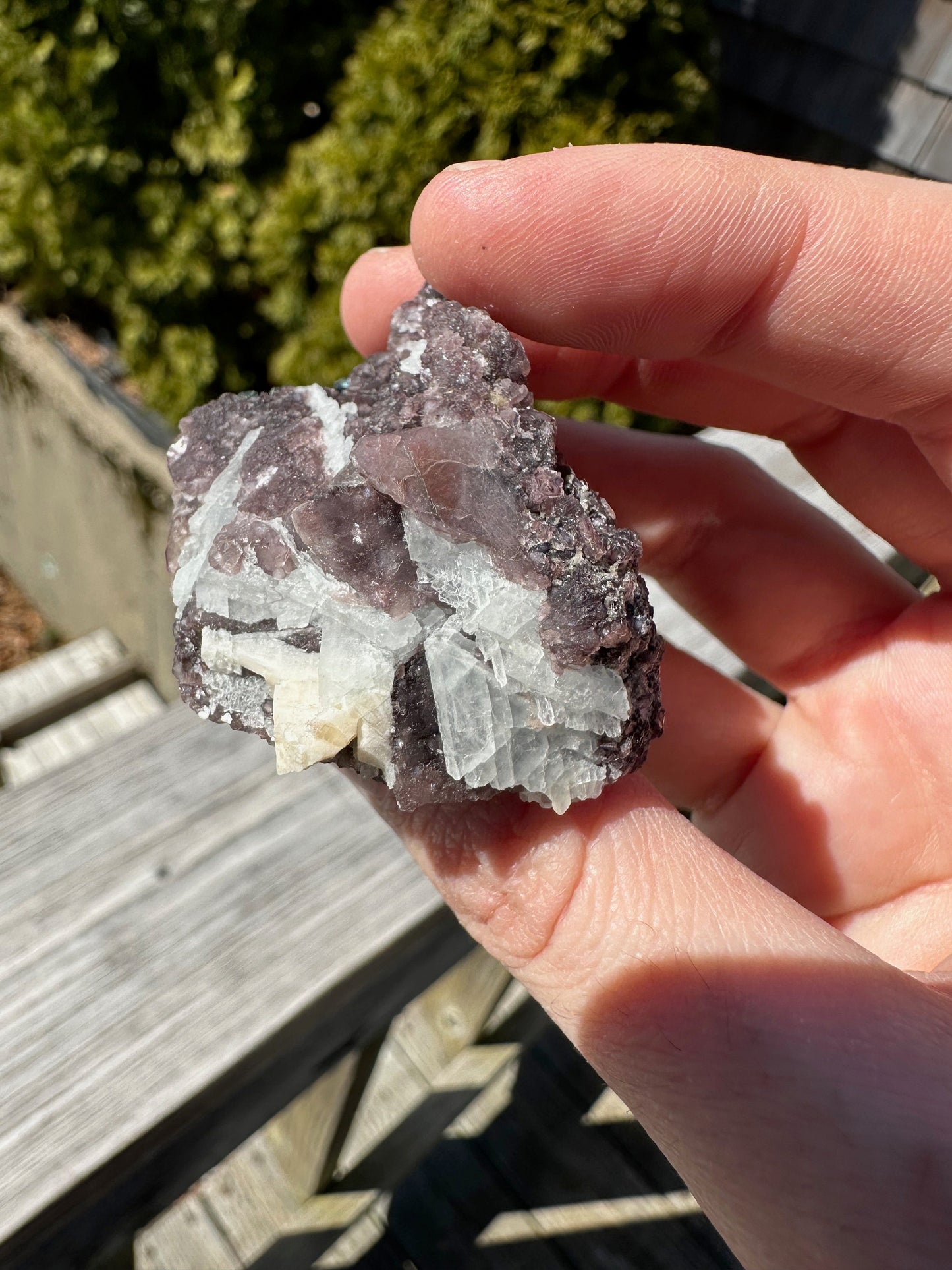 Indicolite Blue Tourmaline Crystals on Lepidolite from Brazil