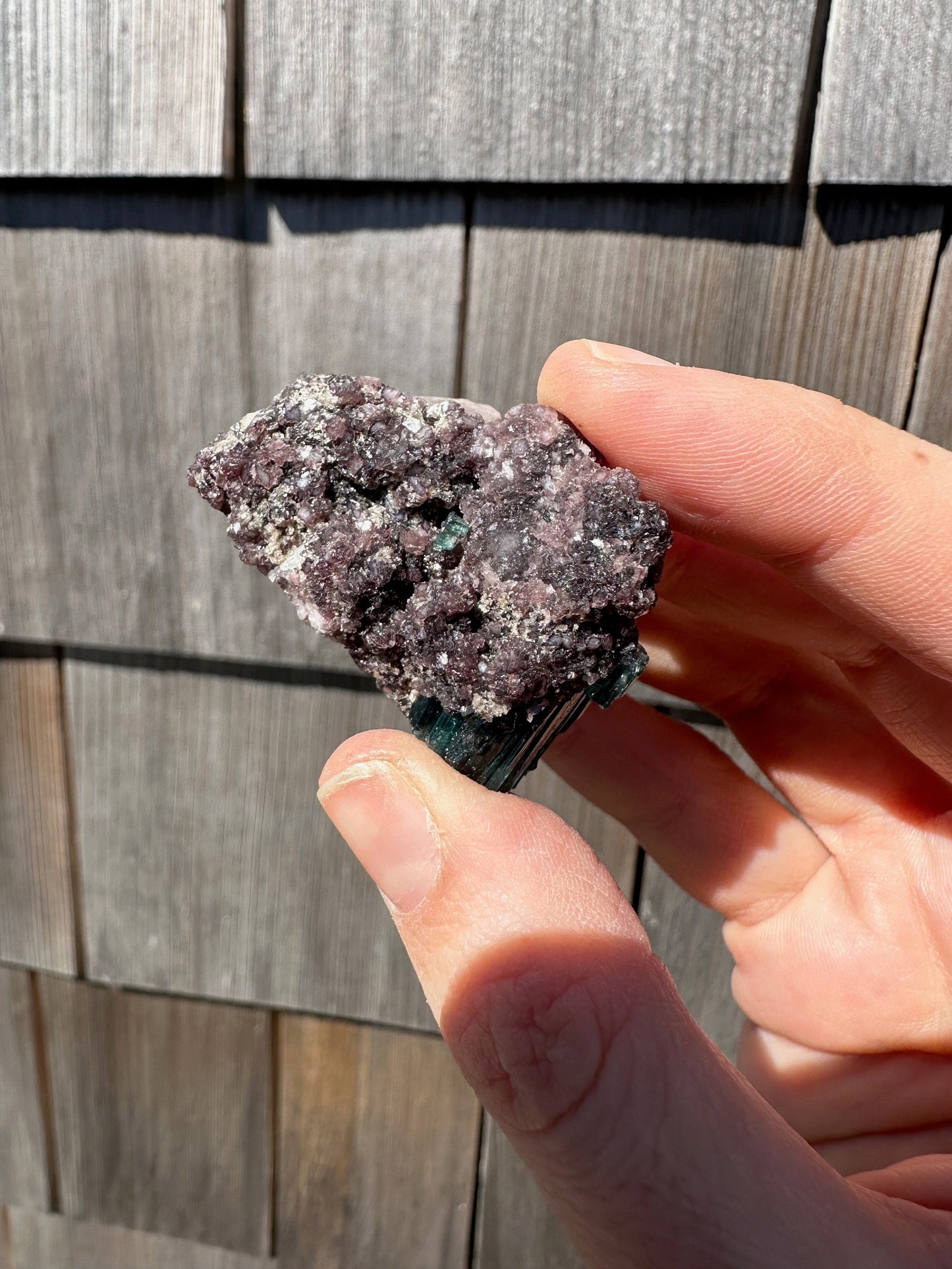 Indicolite Blue Tourmaline Crystals on Lepidolite from Brazil