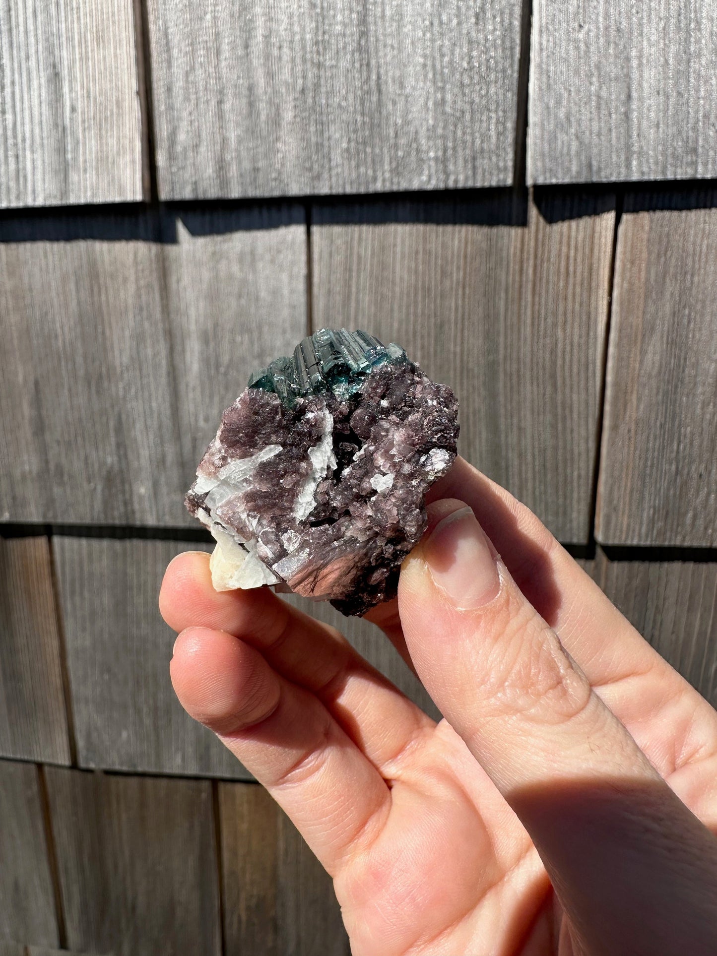Indicolite Blue Tourmaline Crystals on Lepidolite from Brazil