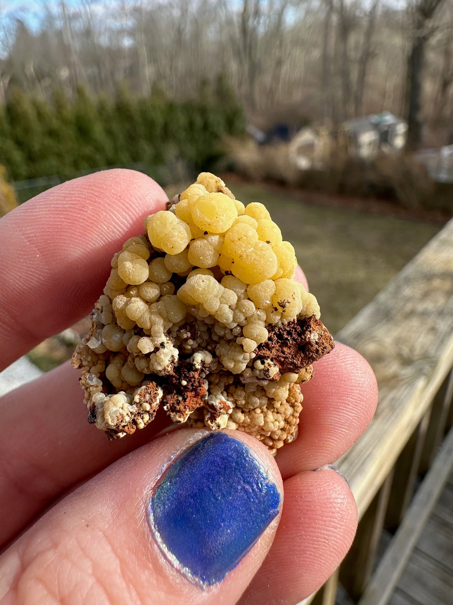 San Pedro Mimetite from Mexico