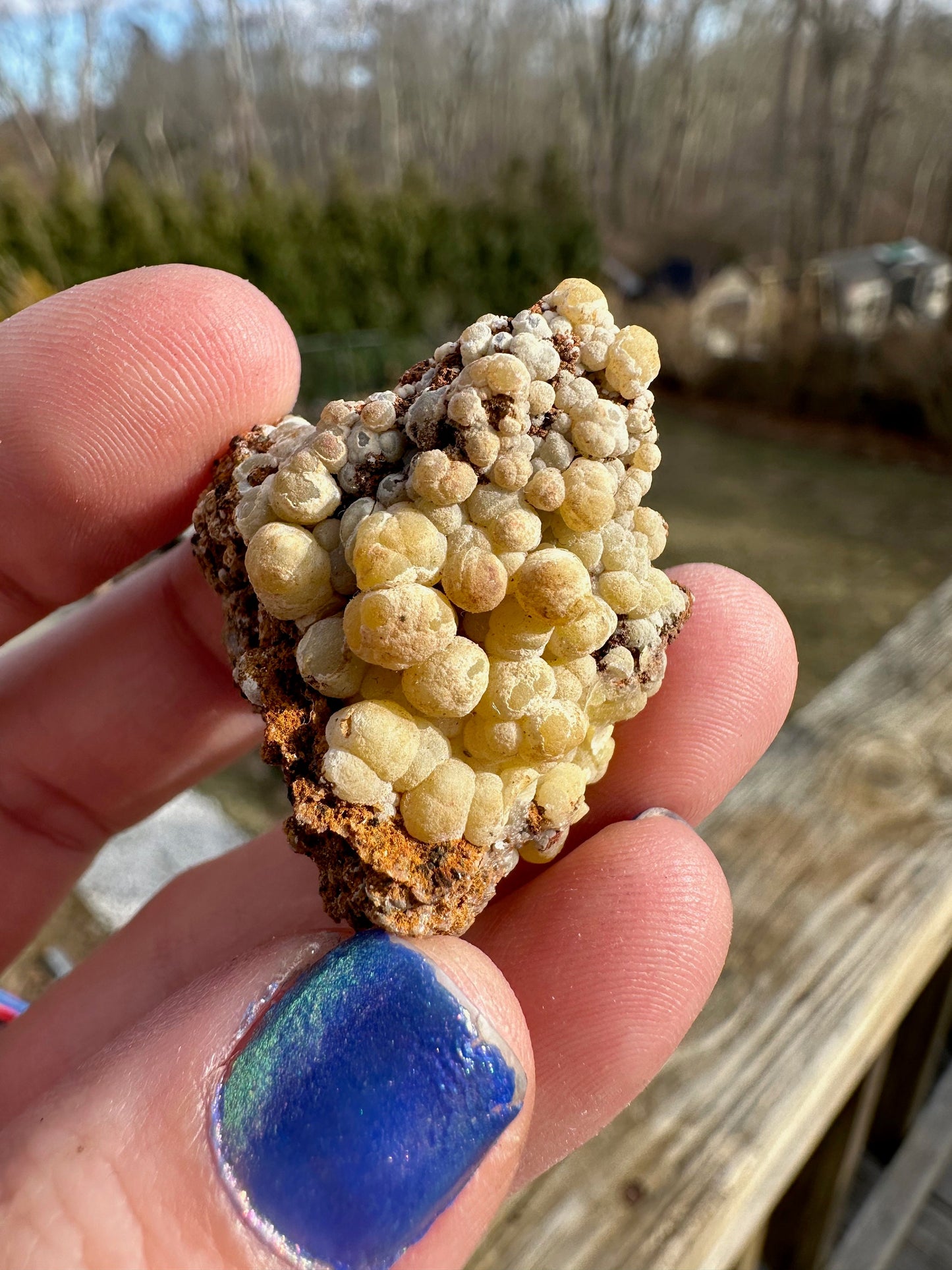 San Pedro Mimetite from Mexico
