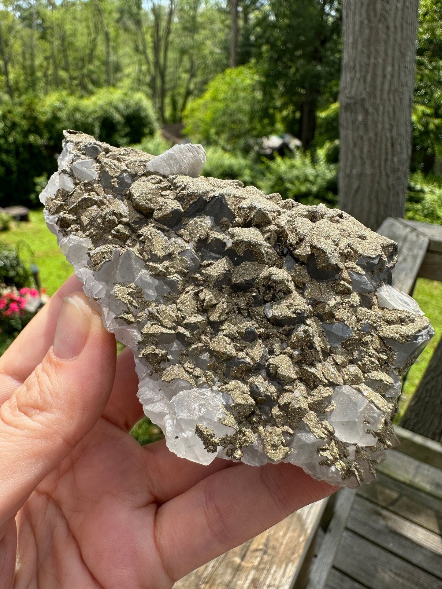 Cabinet Pyrite over Quartz with Calcite on Fluorite from Morocco