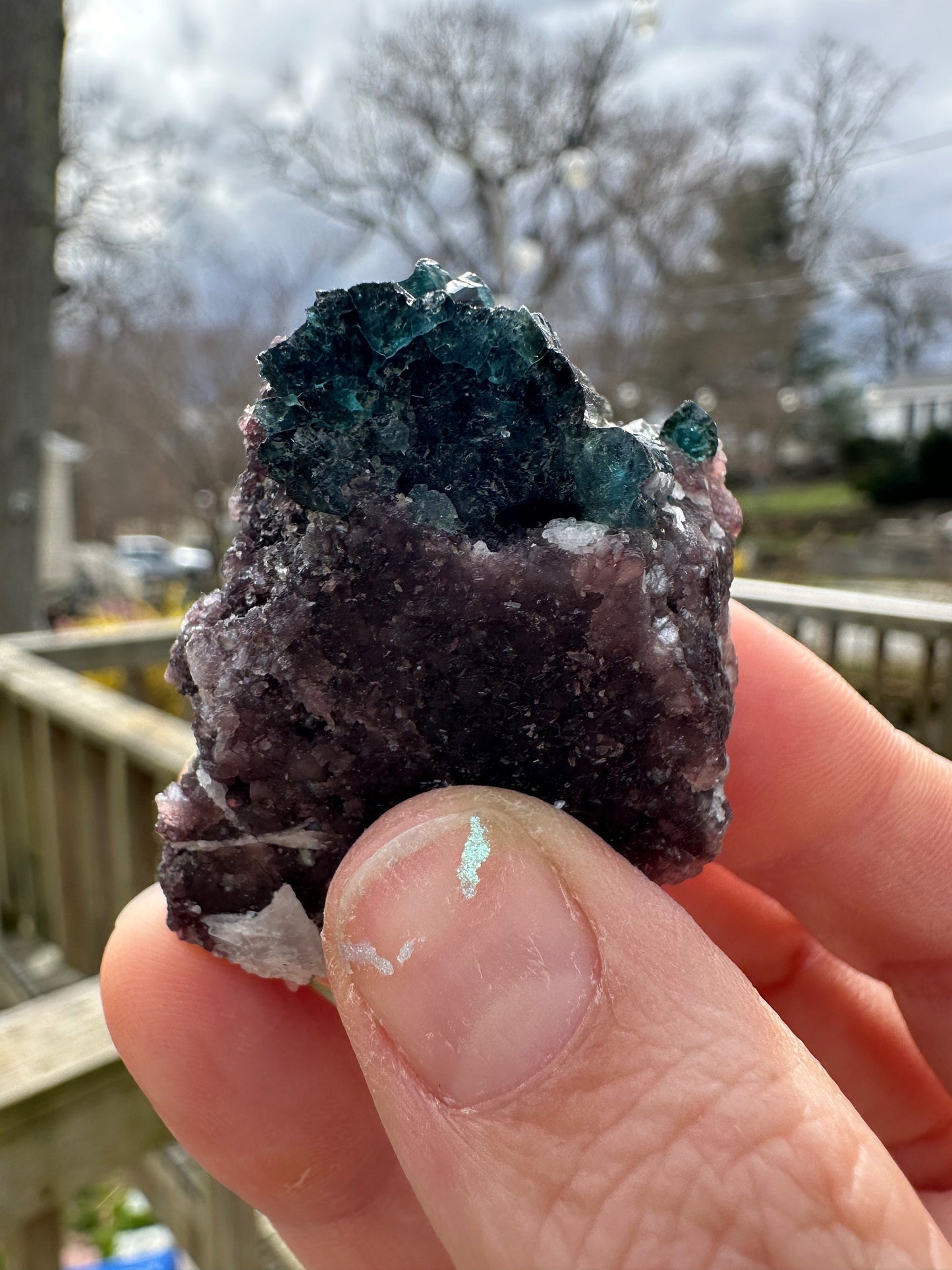 Indicolite Blue Tourmaline Crystals on Lepidolite from Brazil