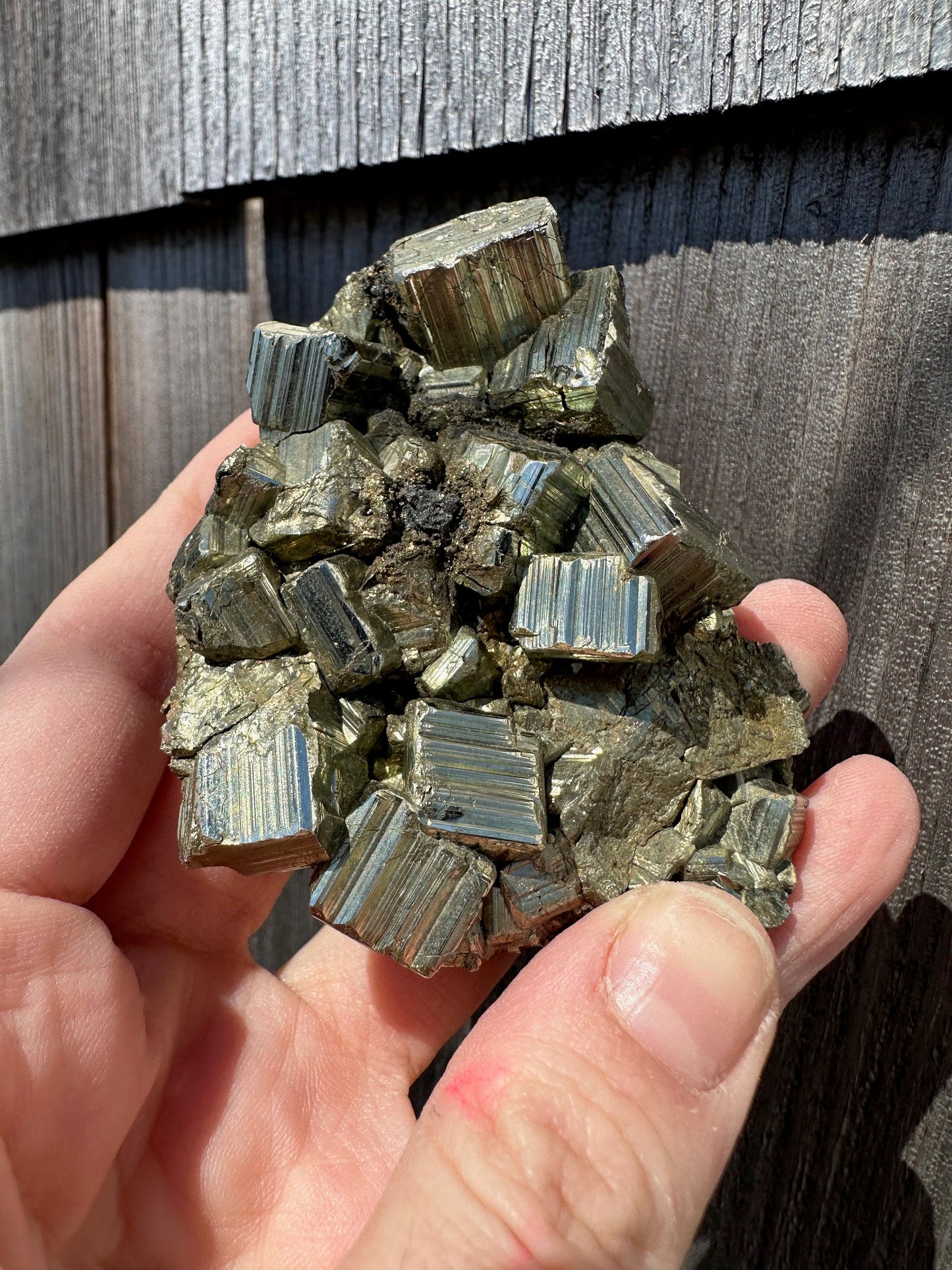 Pyrite Cluster from Concepcion del Oro, Mexico
