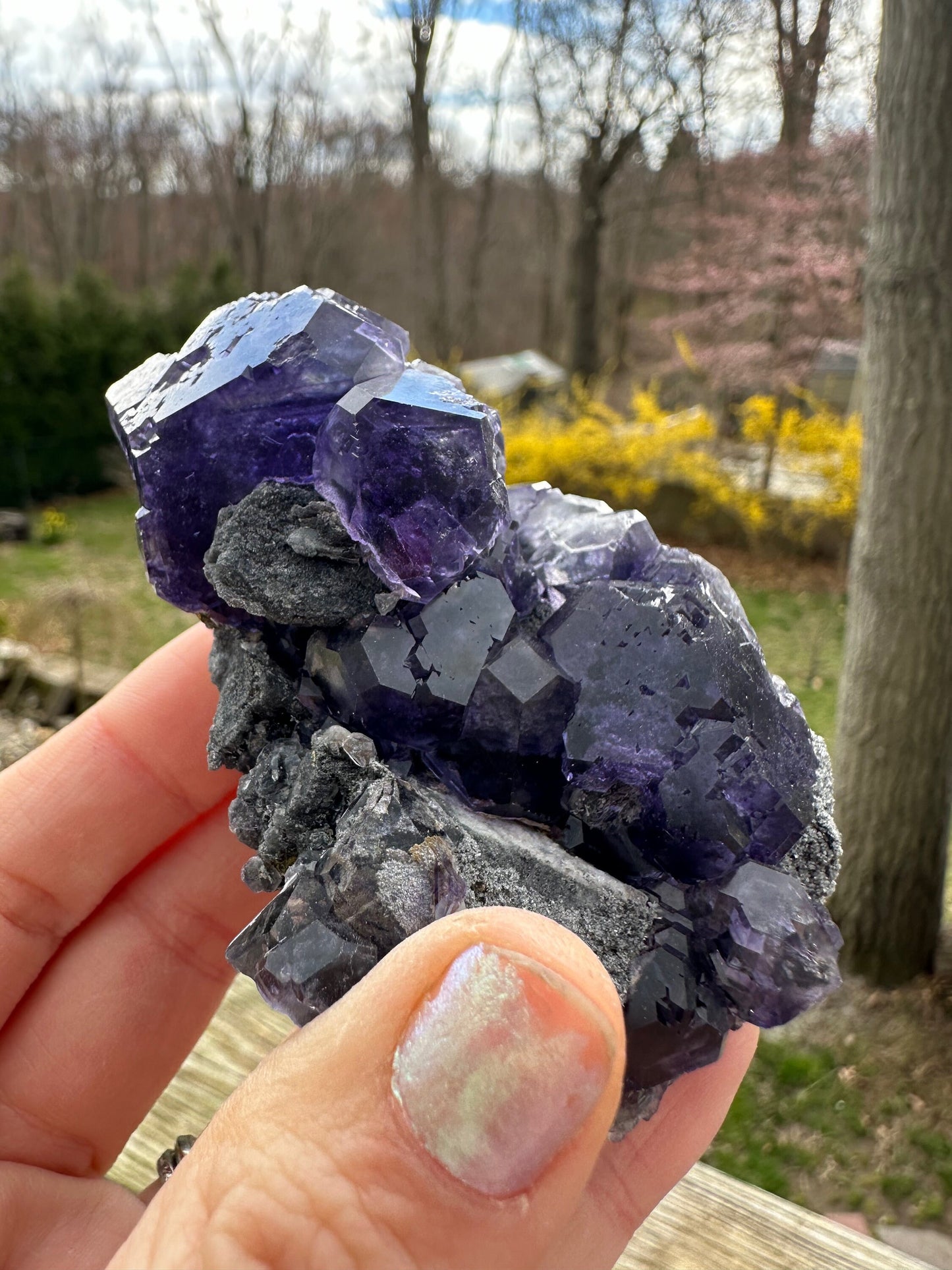 Purple Blue "Tanzanite" Fluorite Cluster from Xia Yang Mine China