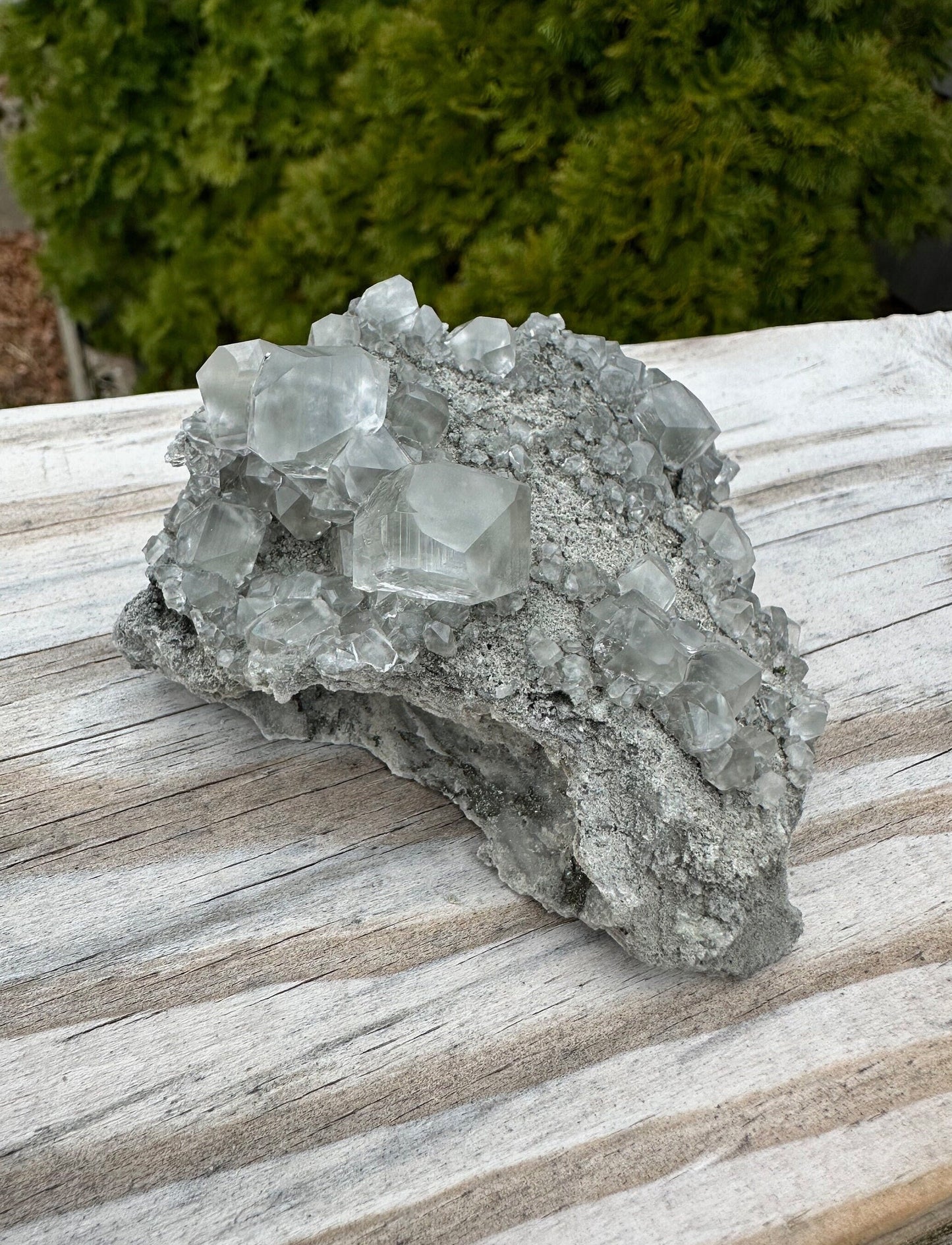 Cabinet Calcite with Marcasite from Linwood Mine Iowa USA