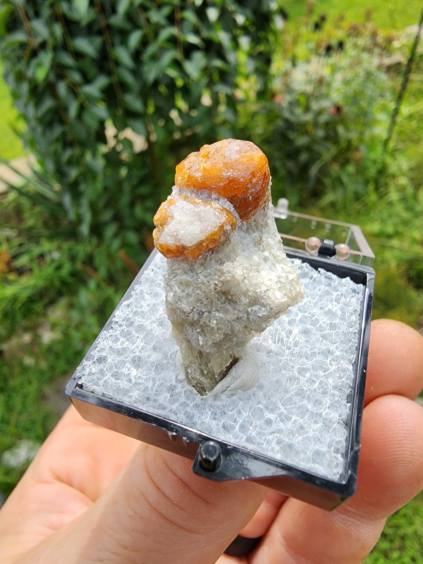 Spessartine Garnet on Muscovite from New Mexico USA
