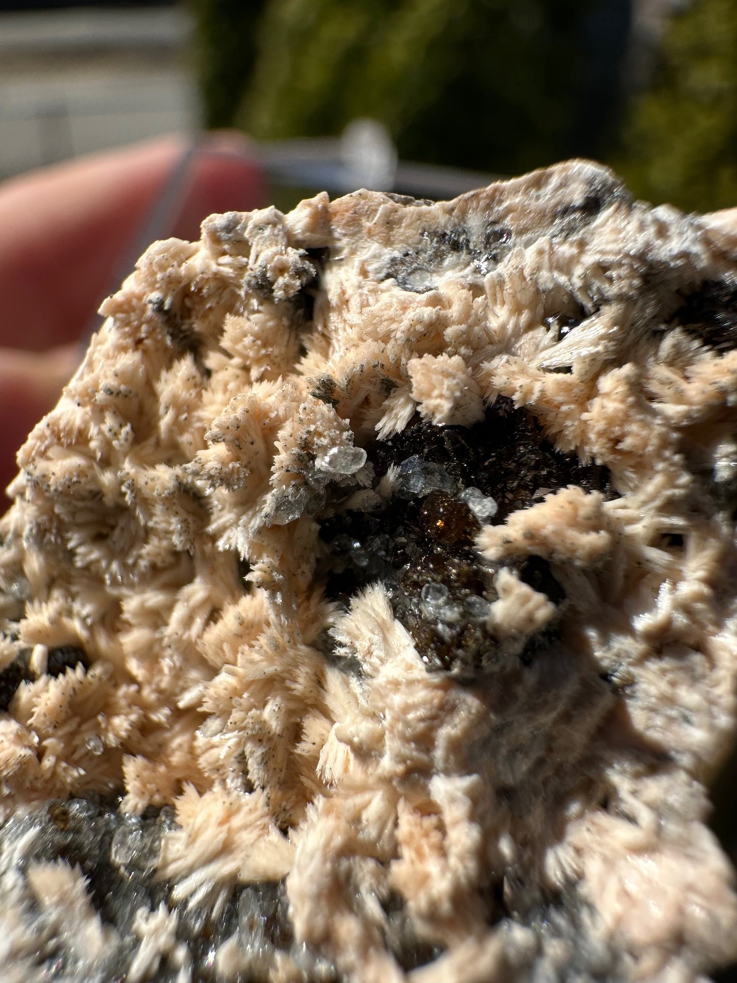 Old Collection Sphalerite and Celestine on Matrix from England UK