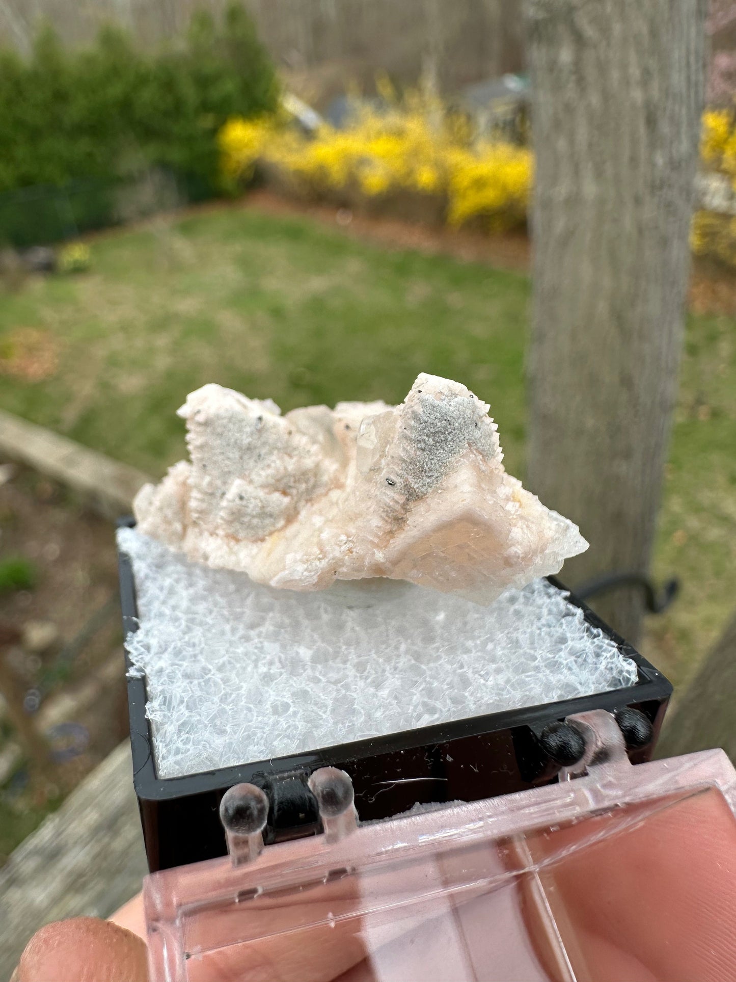 Calcite with Pink Dolomite from Maryland USA