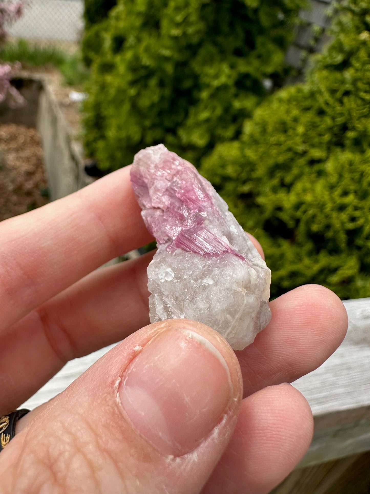 Rubellite Tourmaline in Quartz from Brazil