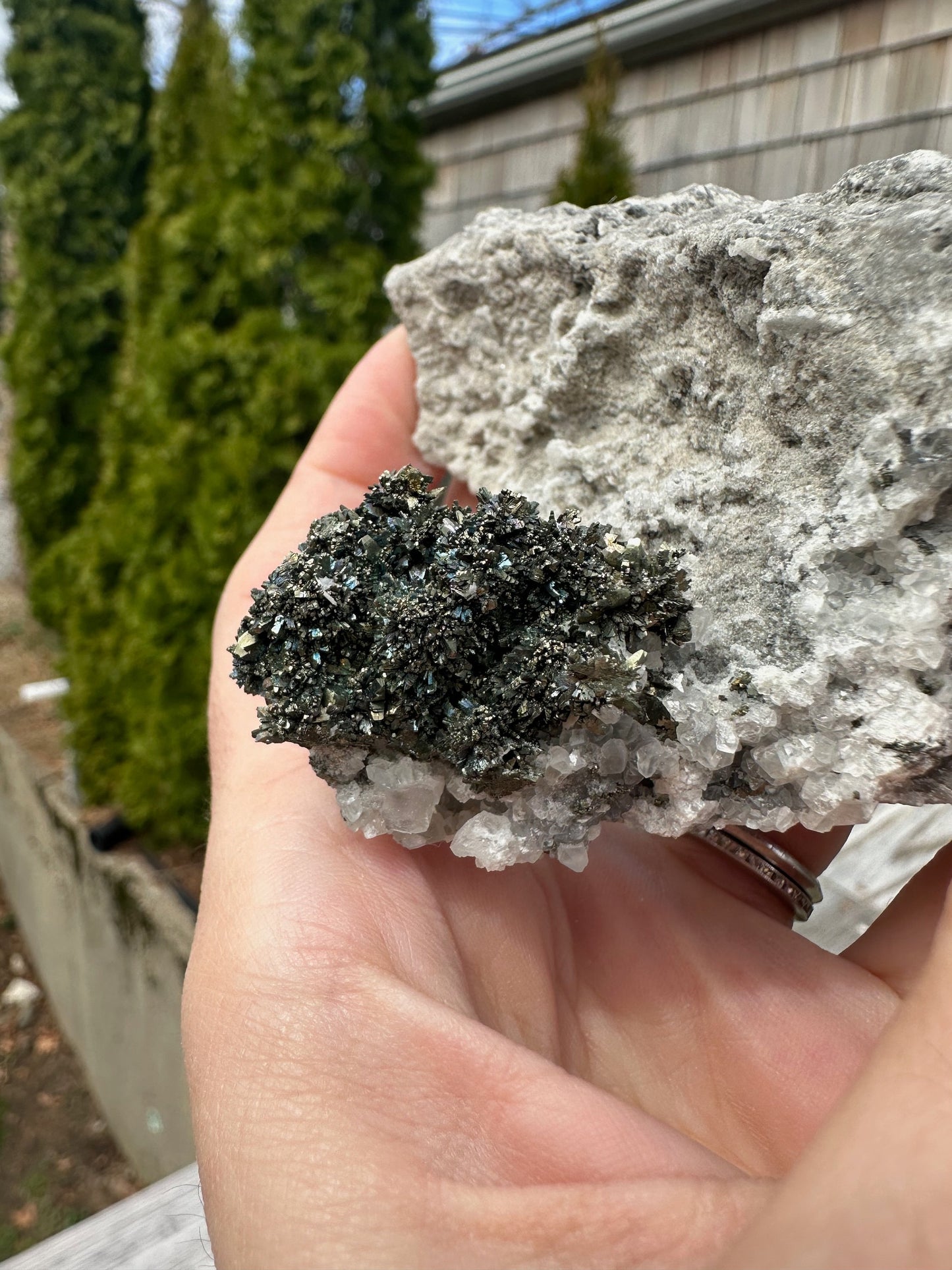 Iridescent Marcasite Crystals with Calcite from Linwood Mine Iowa USA
