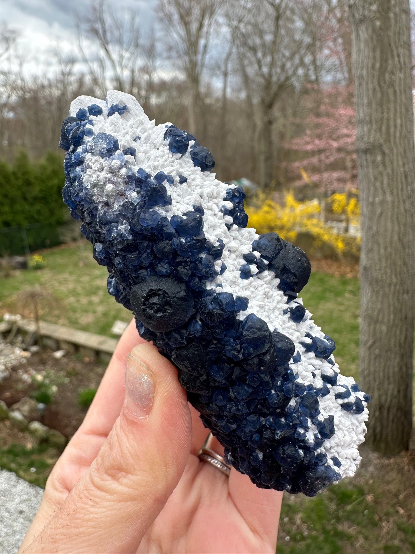 Blueberry Fluorite on Cactus Quartz Point from Huanggangliang, Inner Mongolia, China