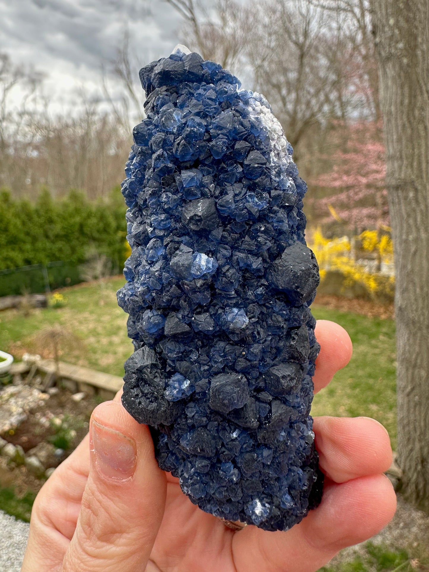 Blueberry Fluorite on Cactus Quartz Point from Huanggangliang, Inner Mongolia, China