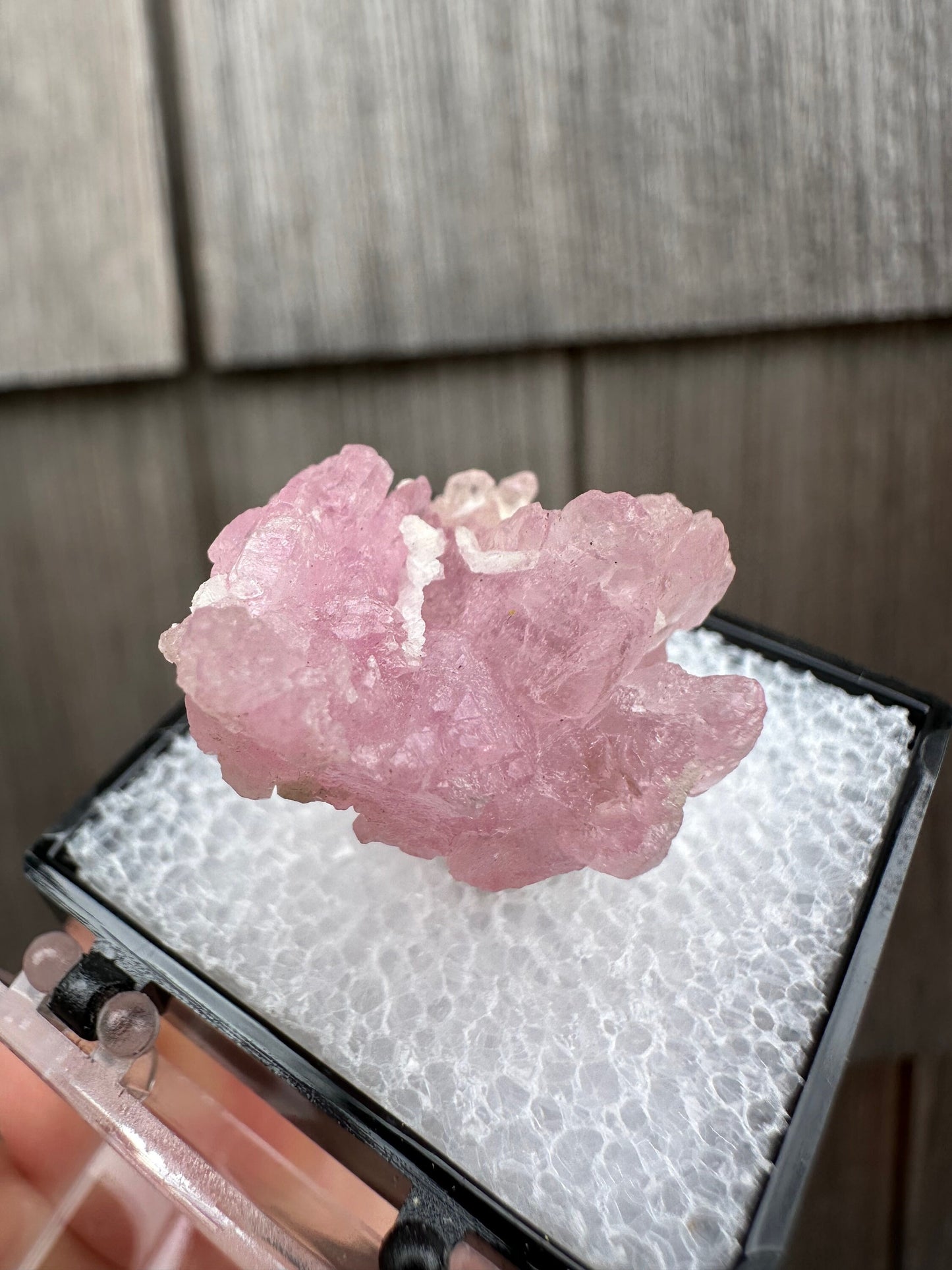 Elestial Rose Quartz Cluster from Brazil