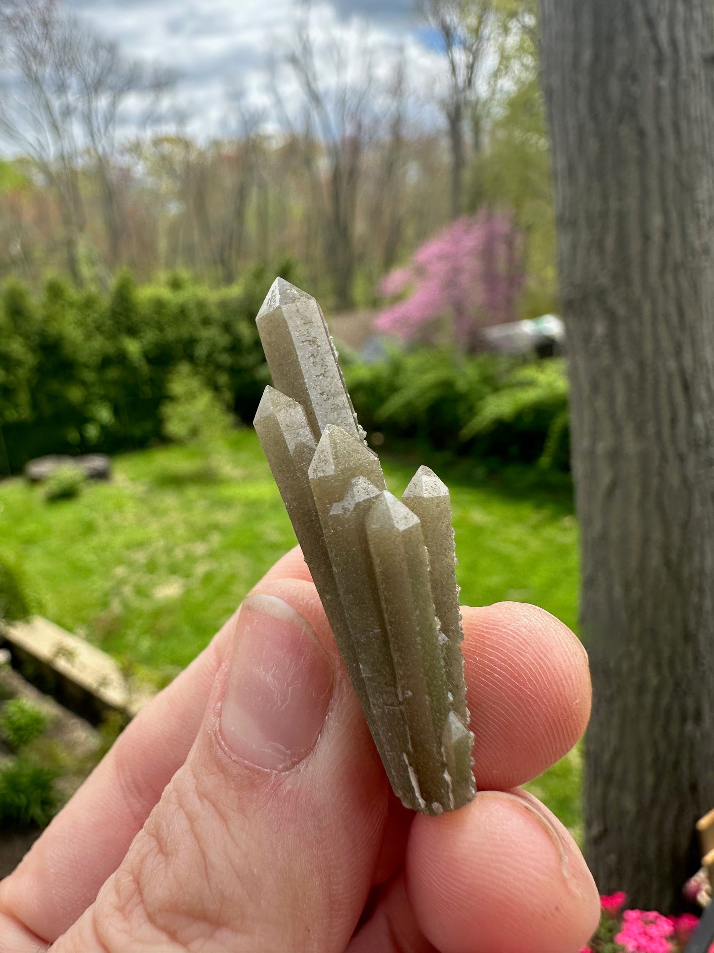 Hedenbergite in Quartz Cluster from Inner Mongolia