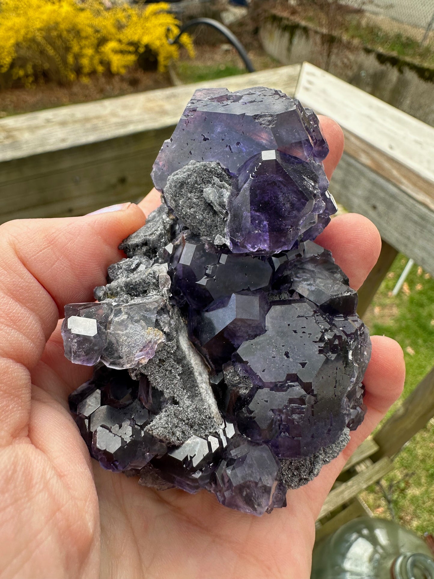 Purple Blue "Tanzanite" Fluorite Cluster from Xia Yang Mine China