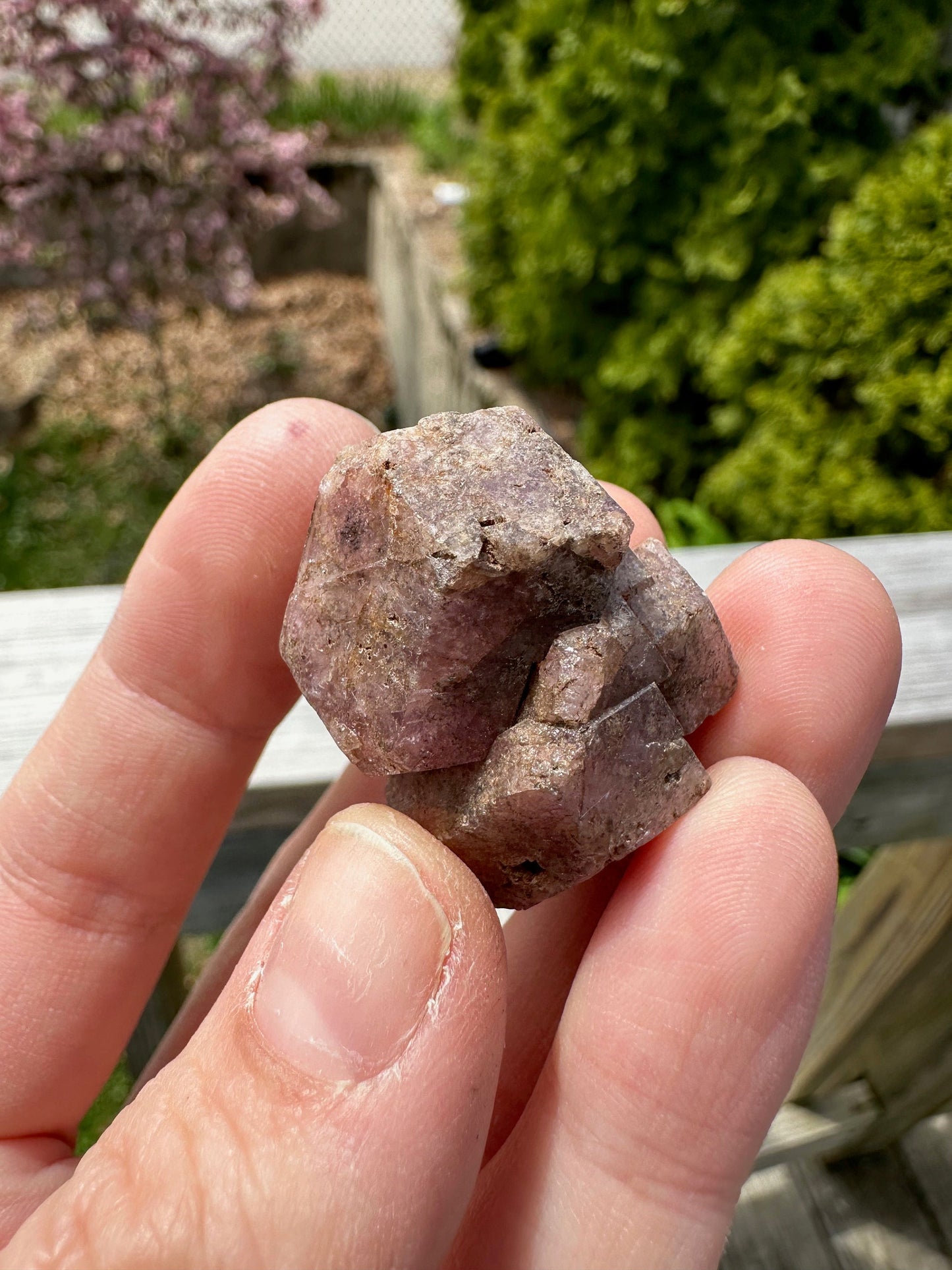 Pink Grossular Garnet Cluster from Xalostoc, Mexico