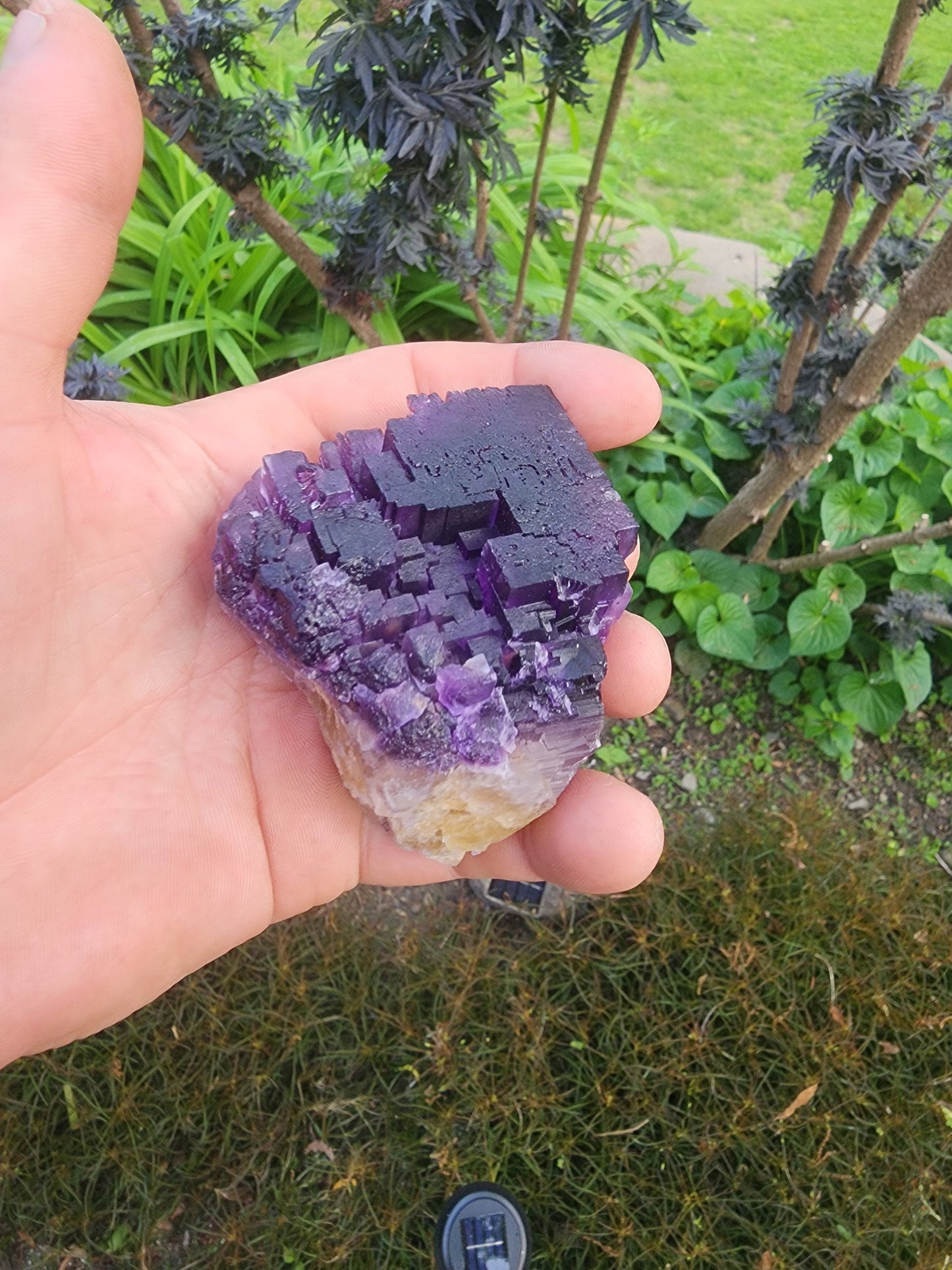 Cave-in-Rock Fluorite Crystal from Lead Hill, Hardin County, Illinois